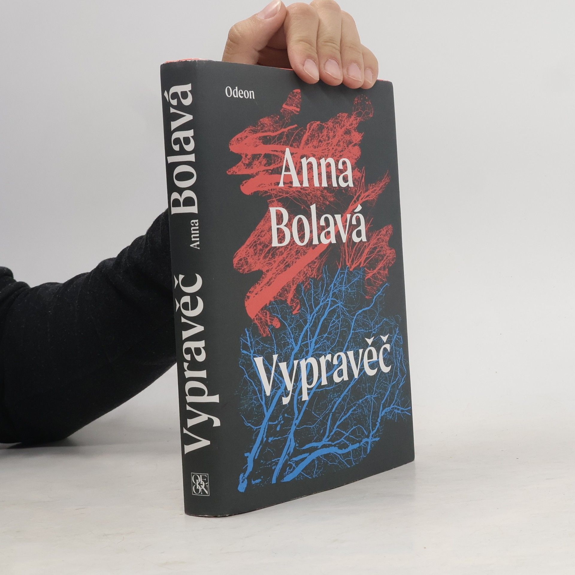 Anna Bolavá Vypravěč