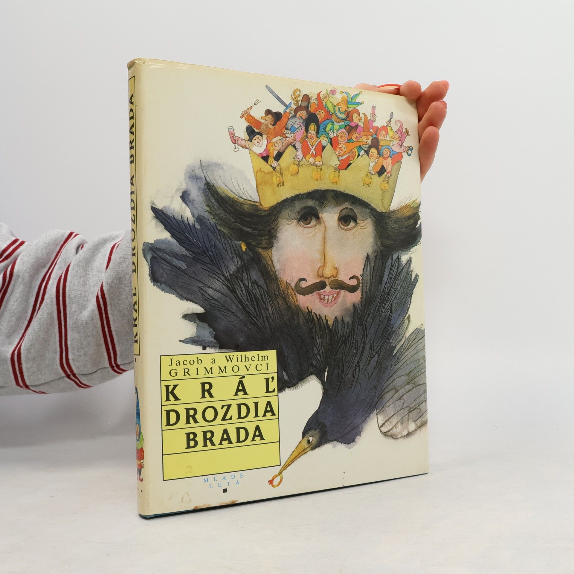 bratři Grimmové Kráľ drozdia brada