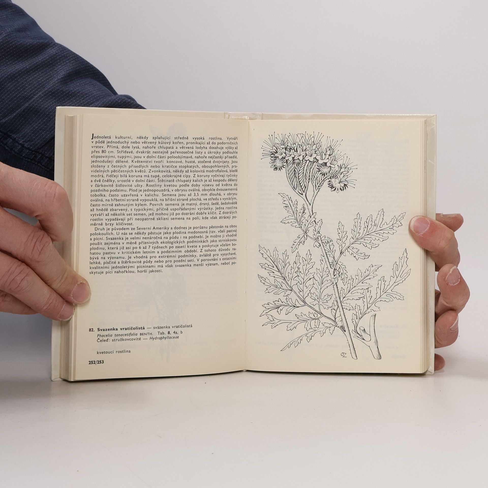 František Hron Kapesní atlas. Rostliny polí a zahrad