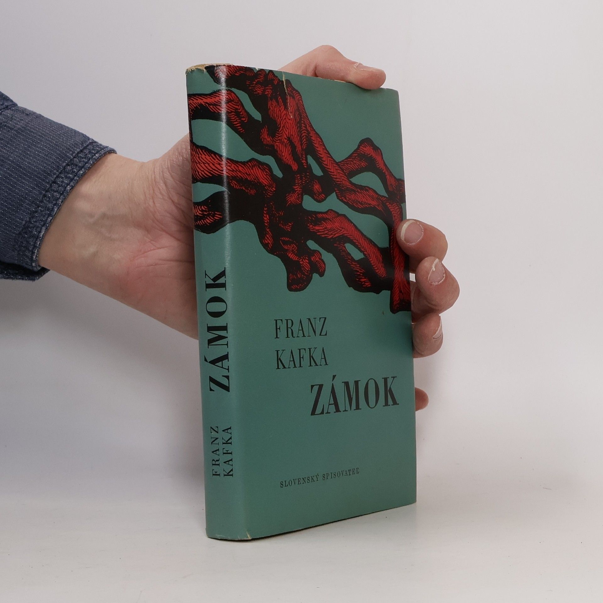 Franz Kafka Zámok