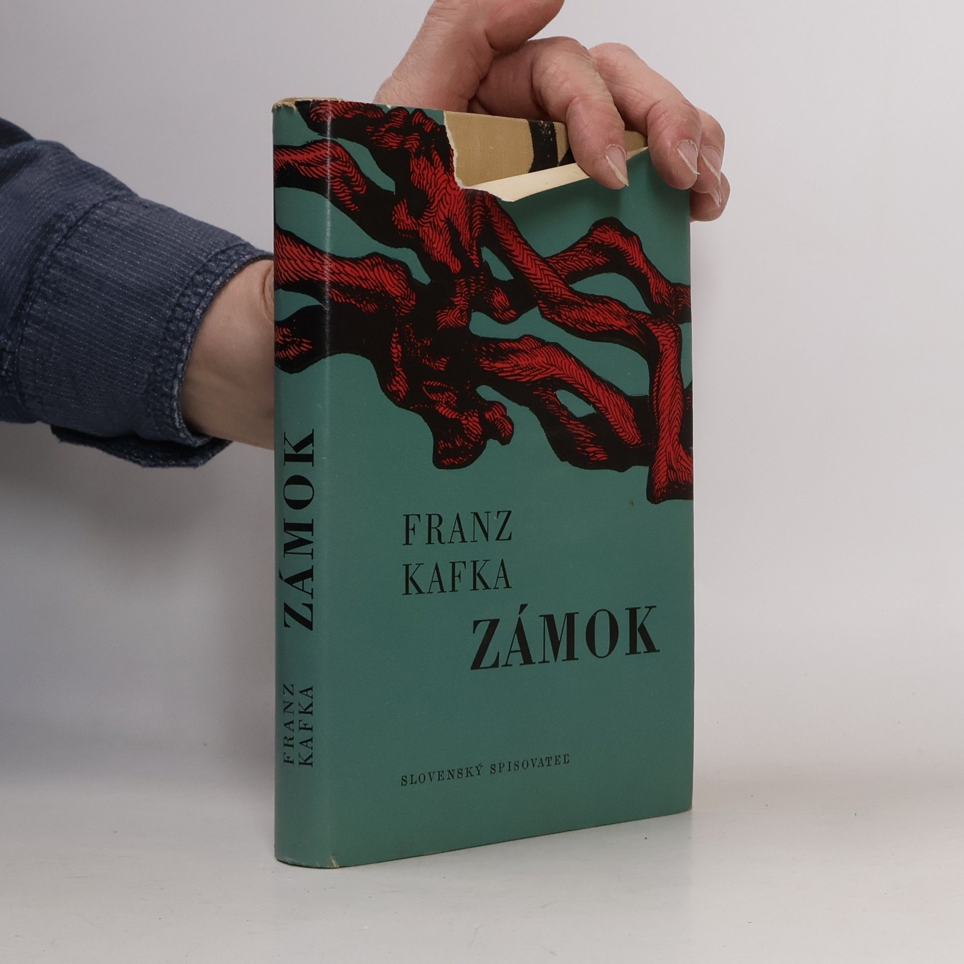 Franz Kafka Zámok