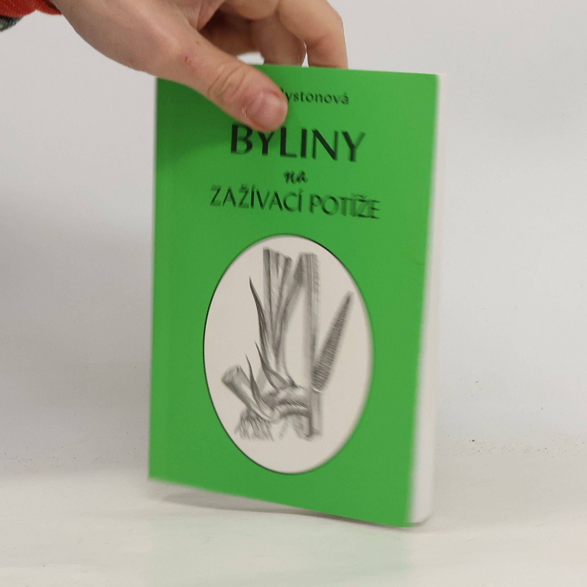 Byliny na zažívací potíže