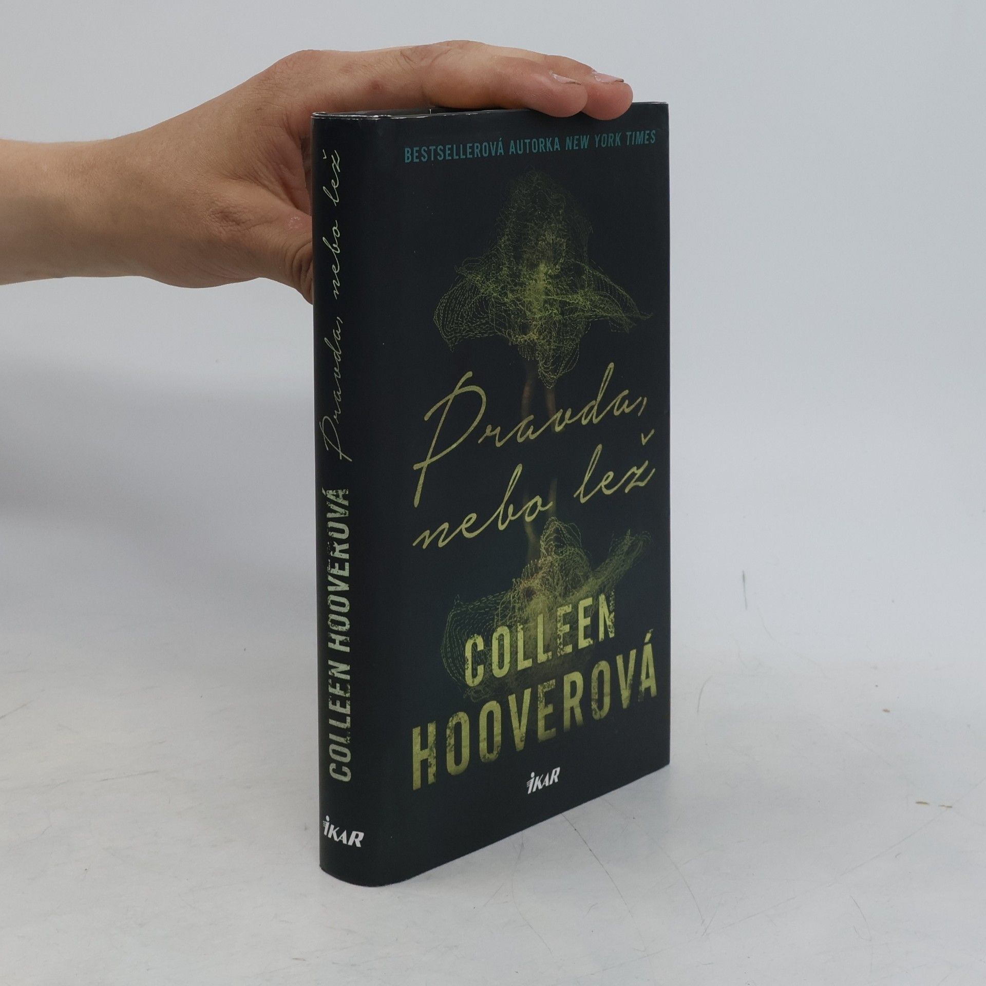 Colleen Hoover Pravda nebo lež