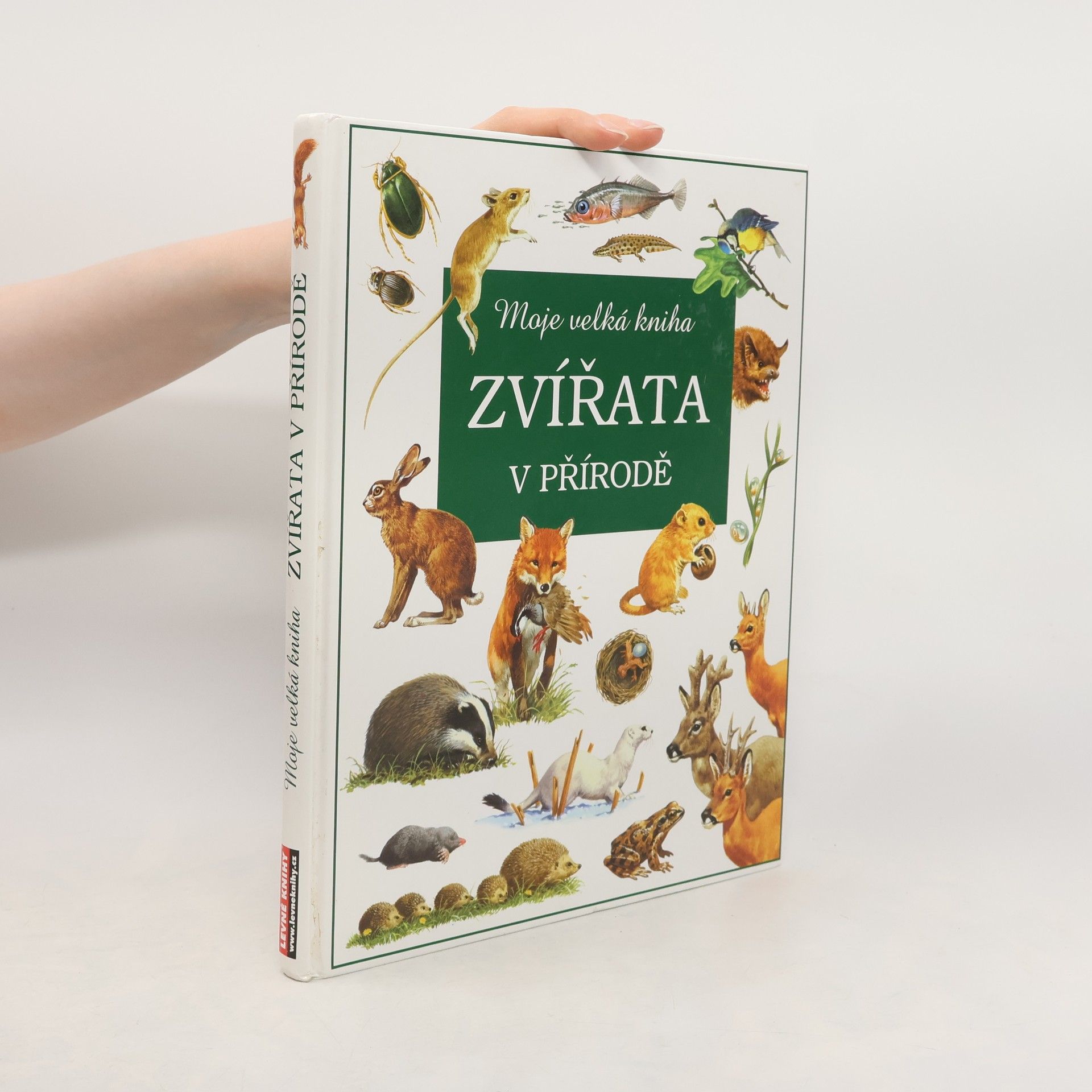 Kolektív autorov Zvířata v přírodě