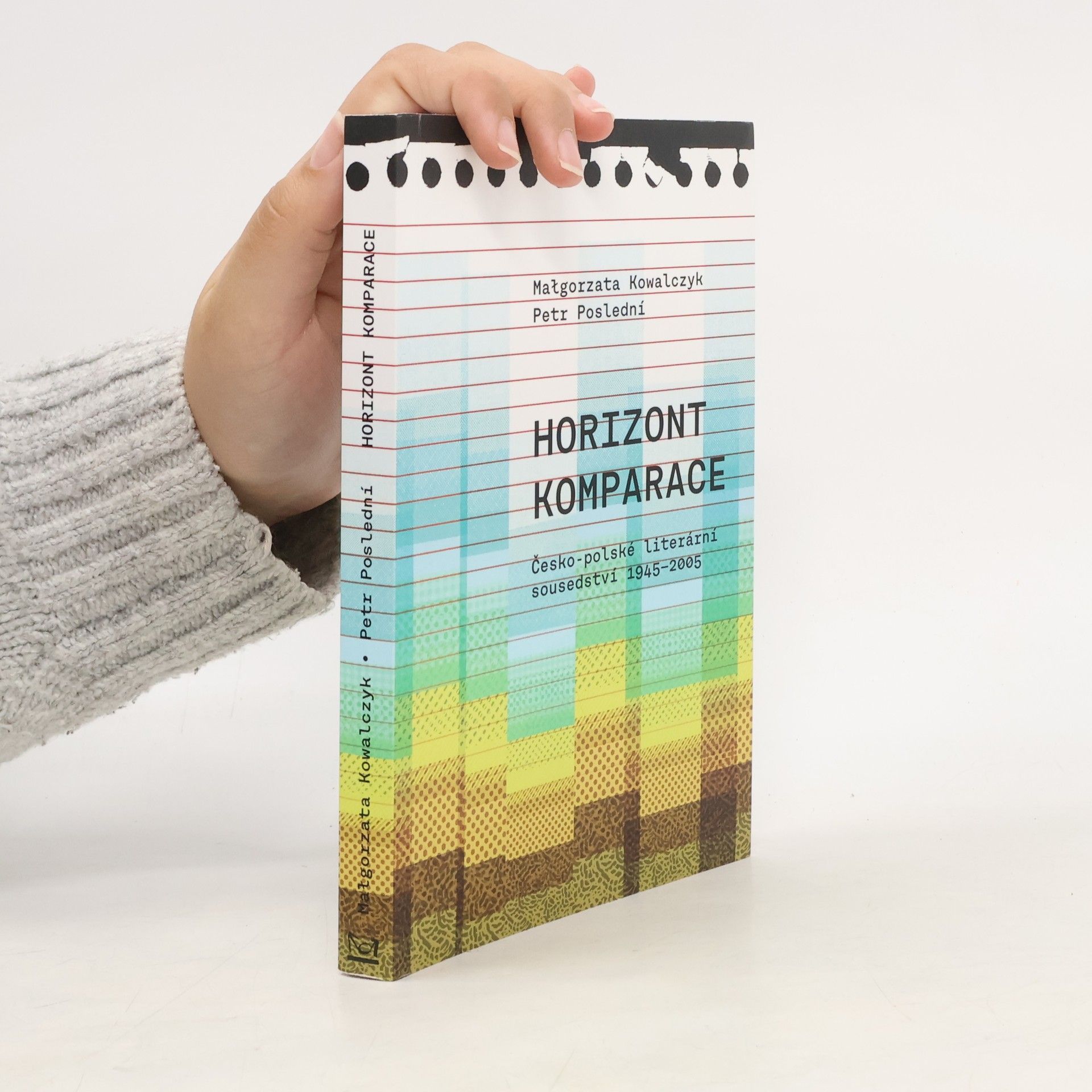 Horizont komparace