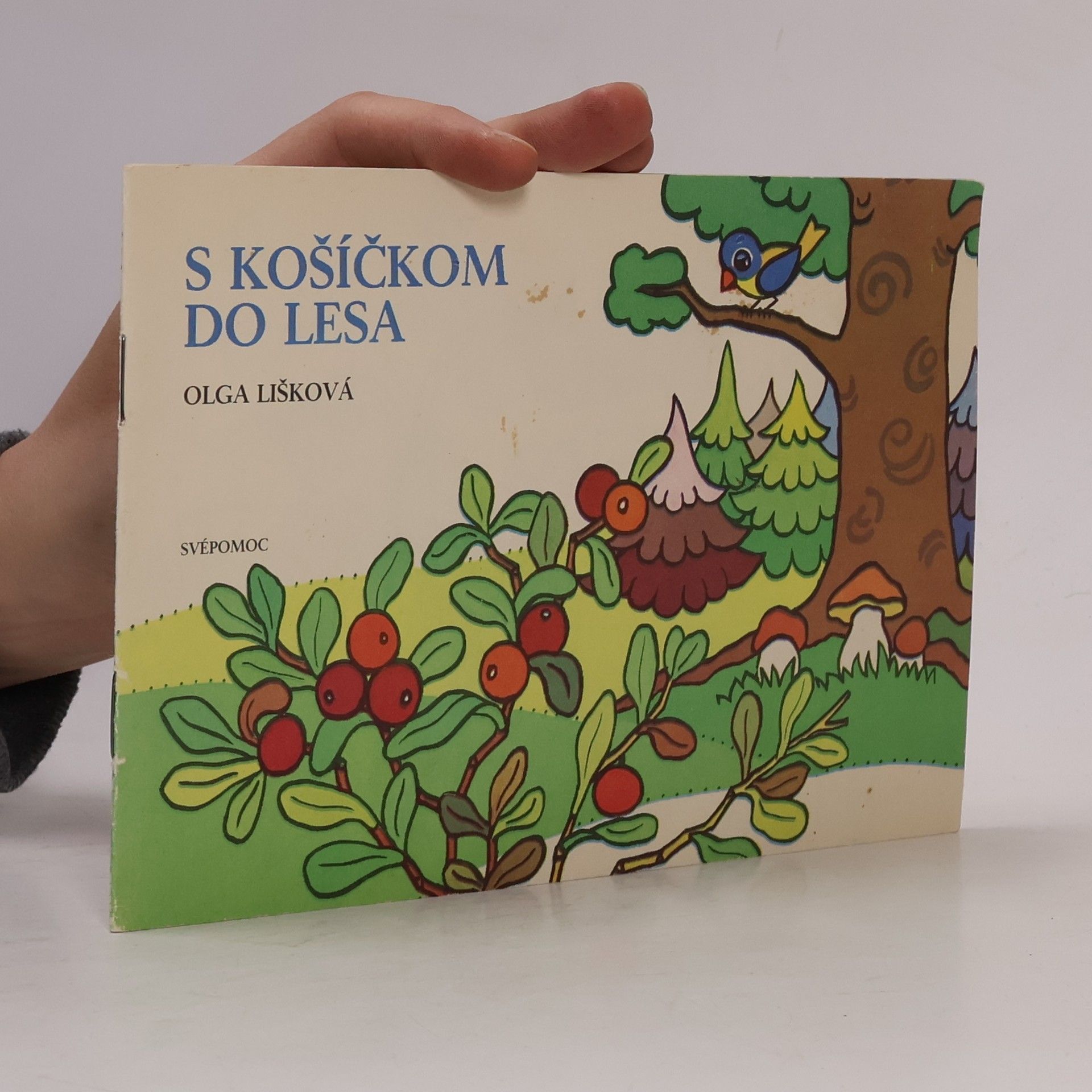 S košíčkom do lesa