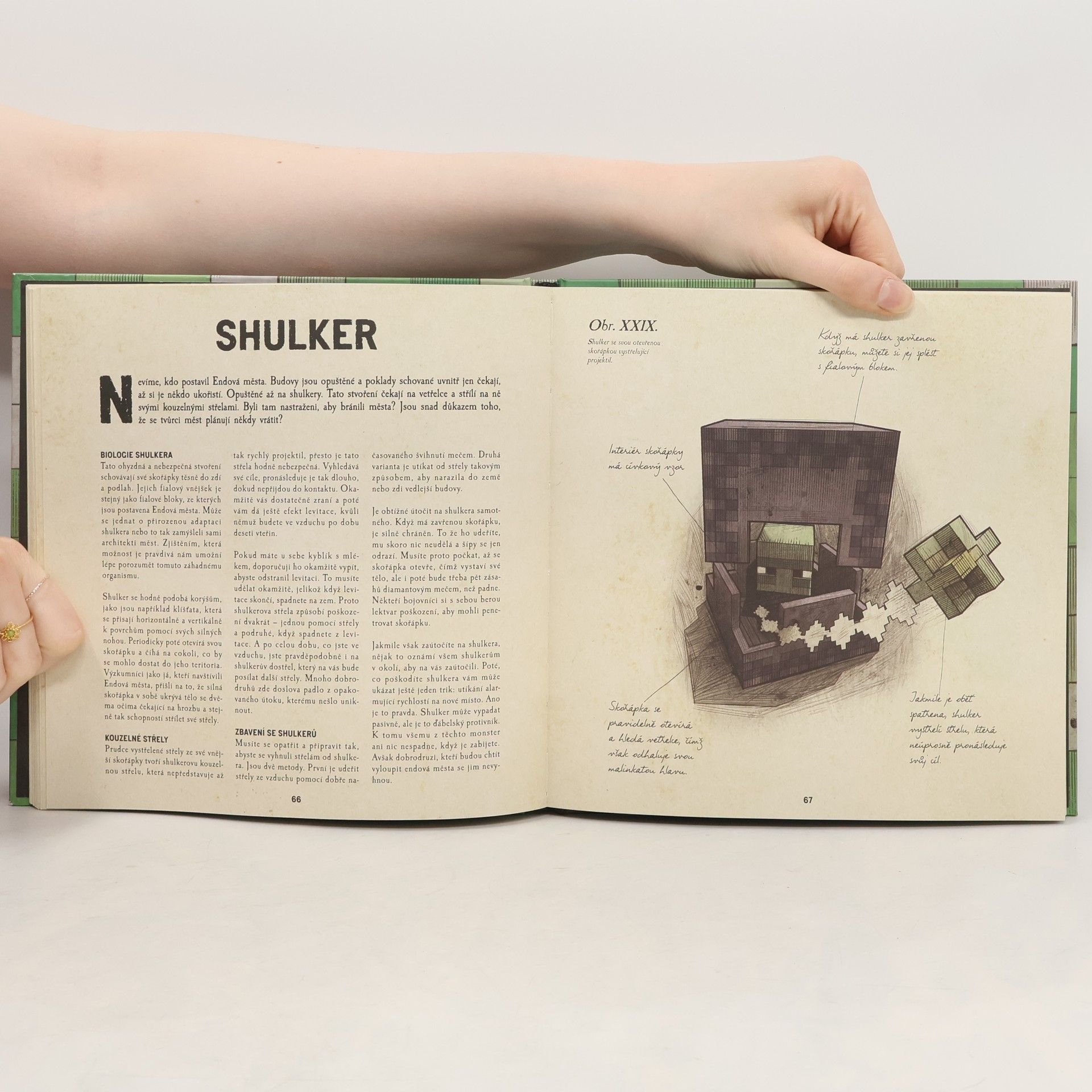 Alex Wiltshire Minecraft Mobestiář