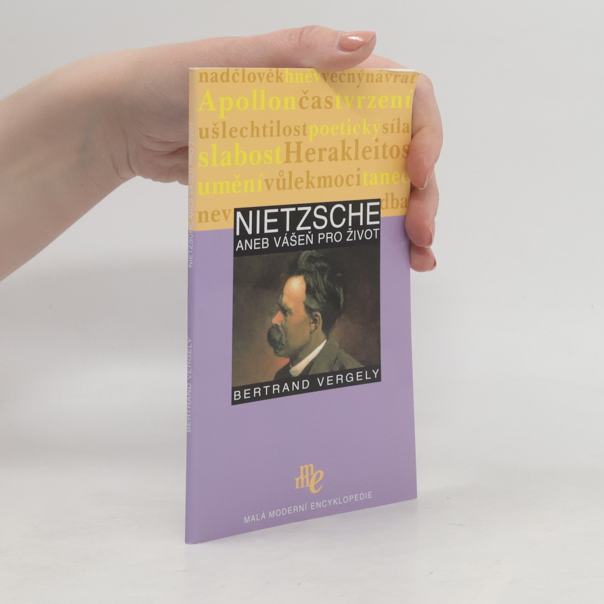 Bertrand Vergely Nietzsche aneb Vášeň pro život