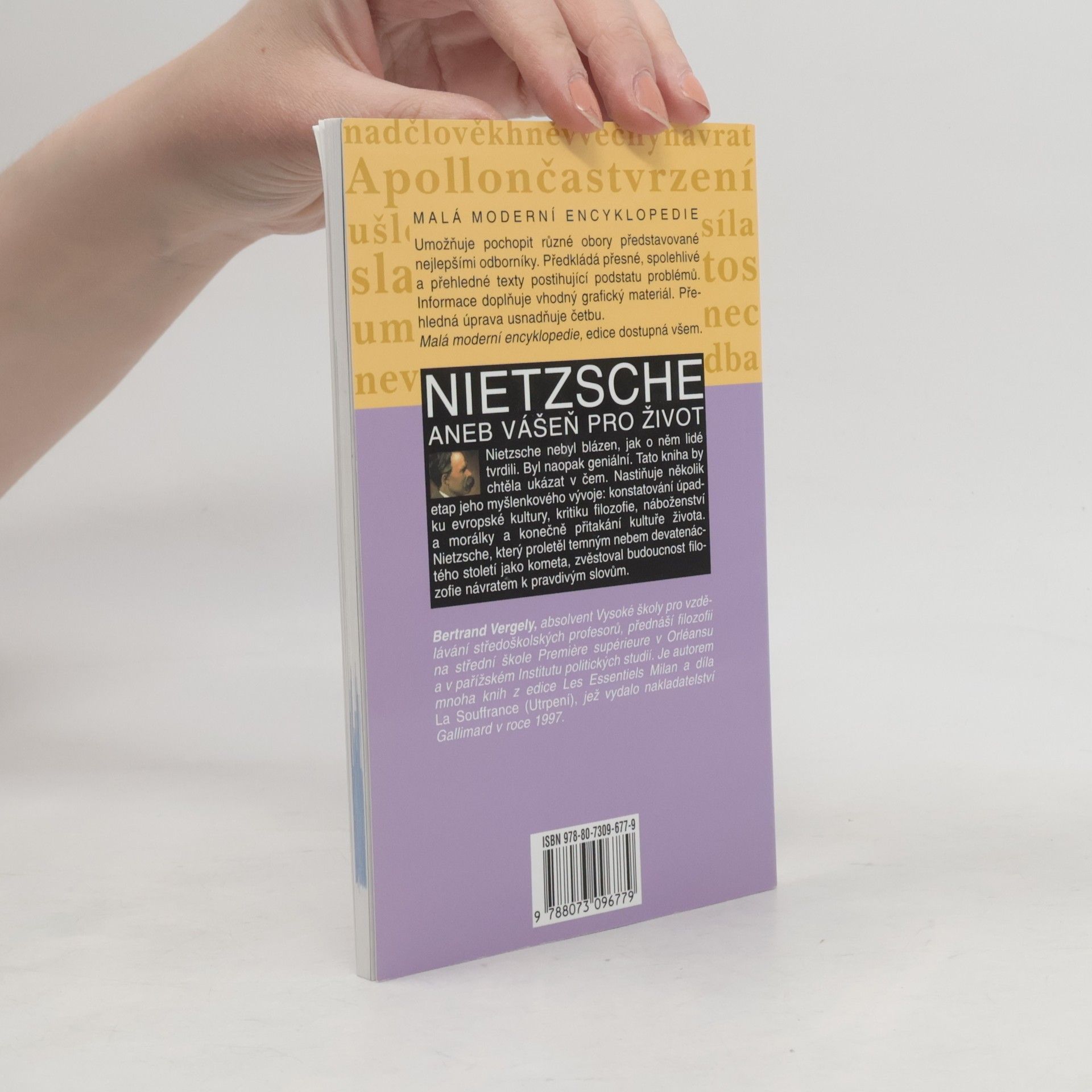 Bertrand Vergely Nietzsche aneb Vášeň pro život