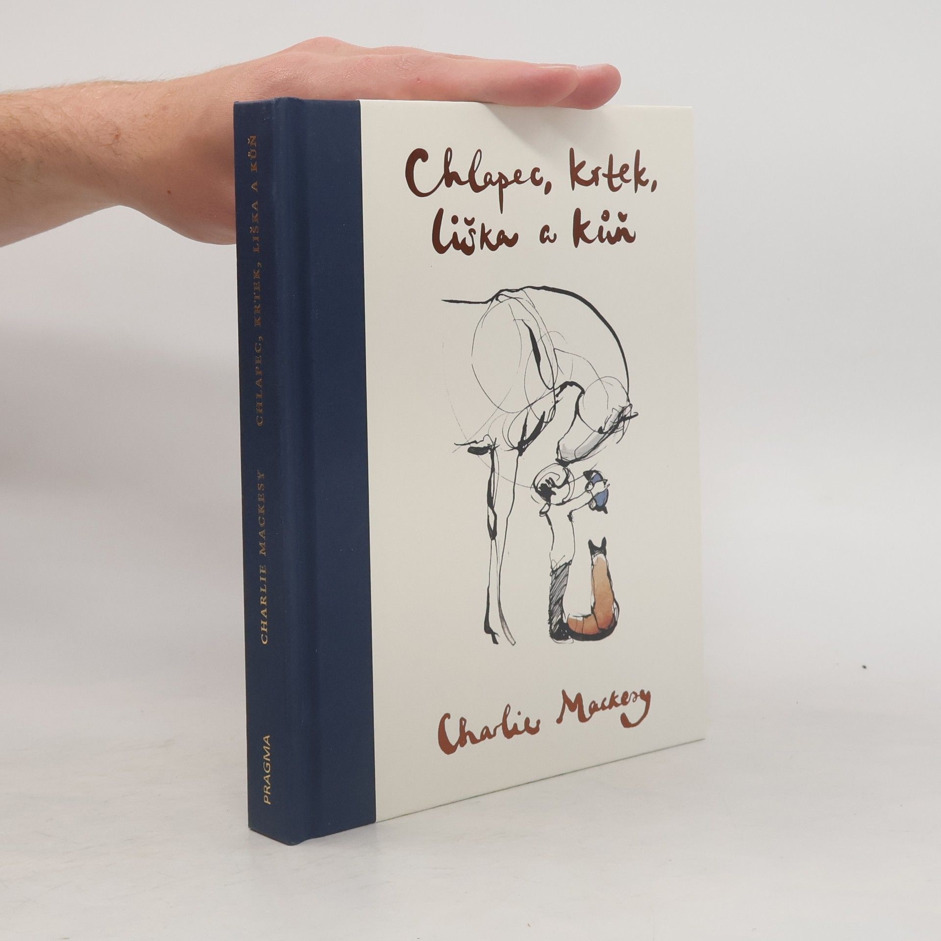 Charlie Mackesy Chlapec, krtek, liška a kůň