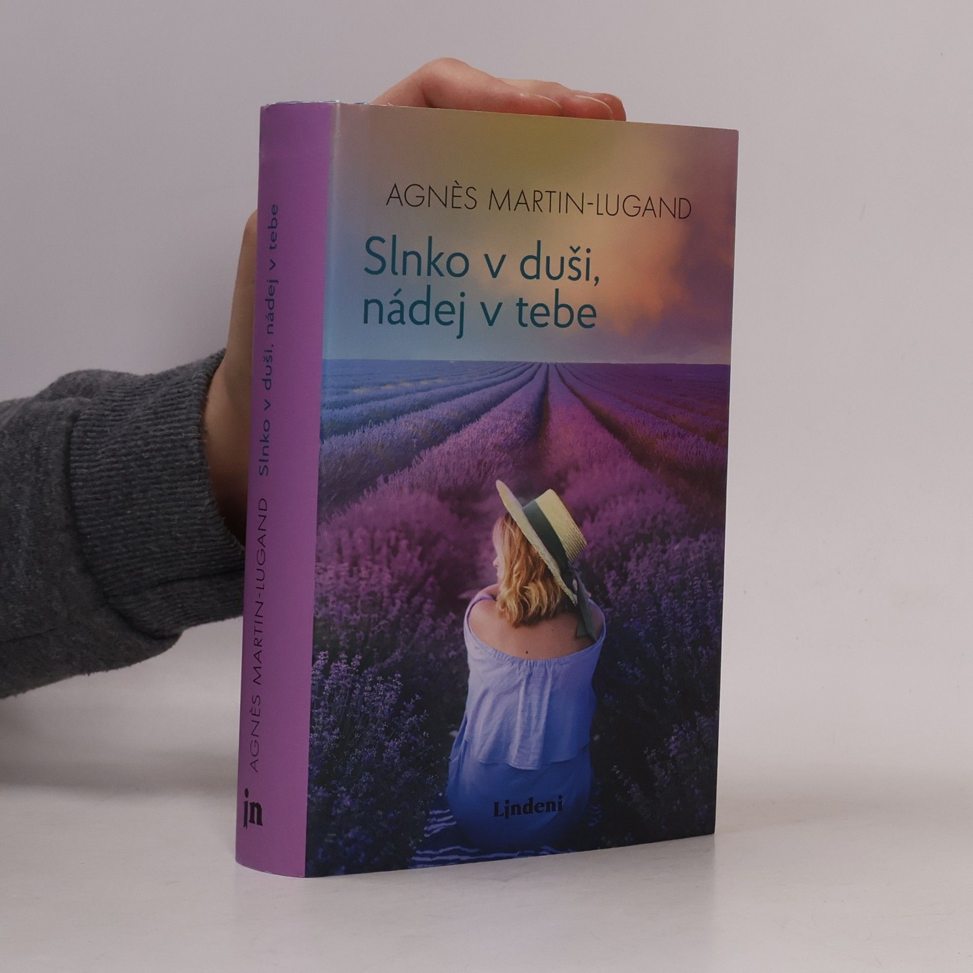 Agnès Martin-Lugand Slnko v duši