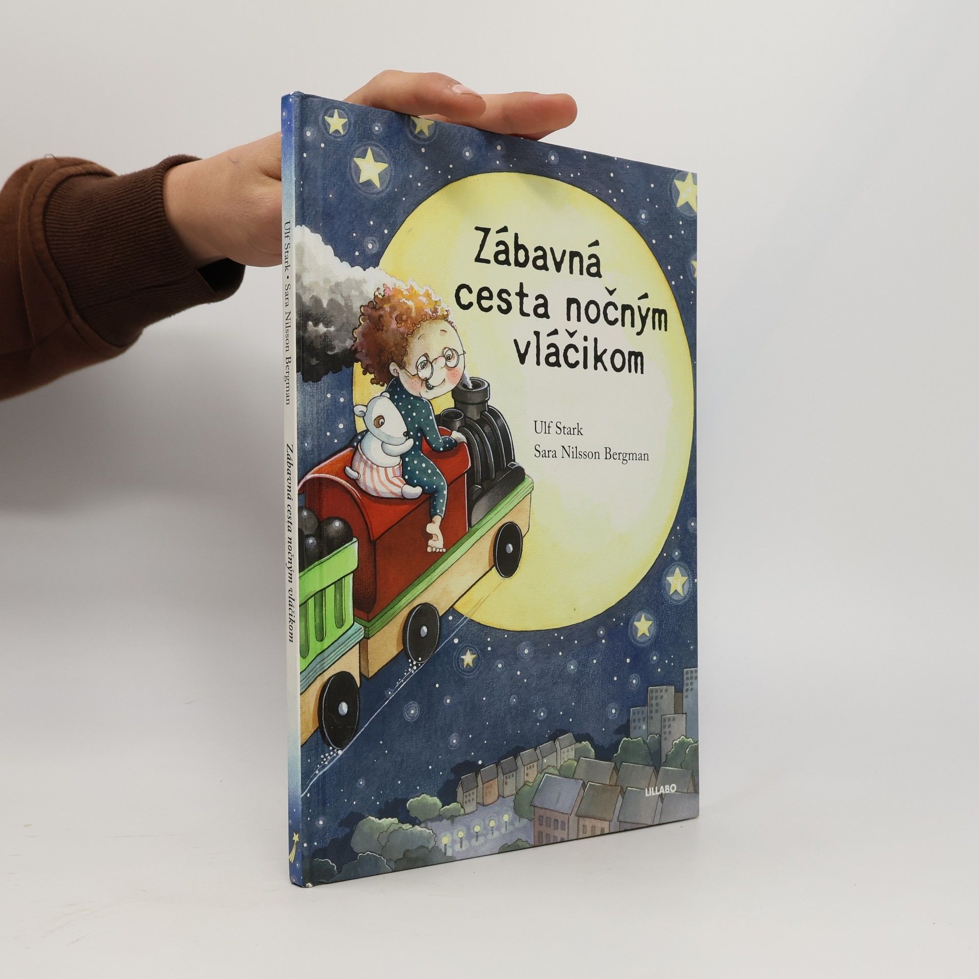 Sara Nilsson Bergman Zábavná cesta nočným vláčikom