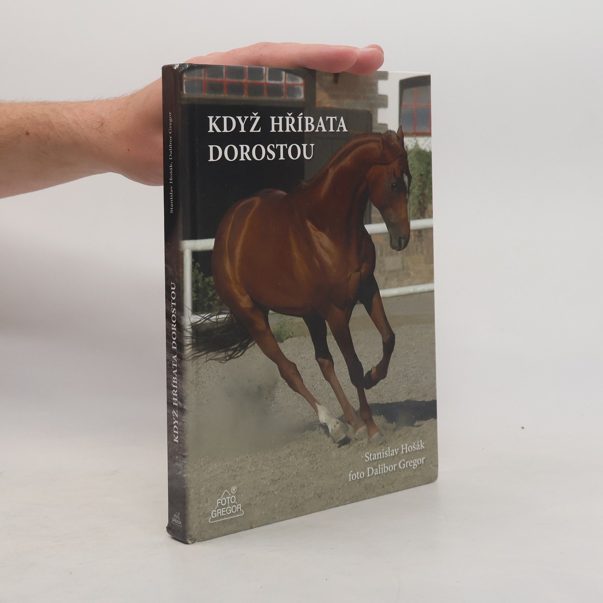 Stanislav Hošák Když hříbata dorostou