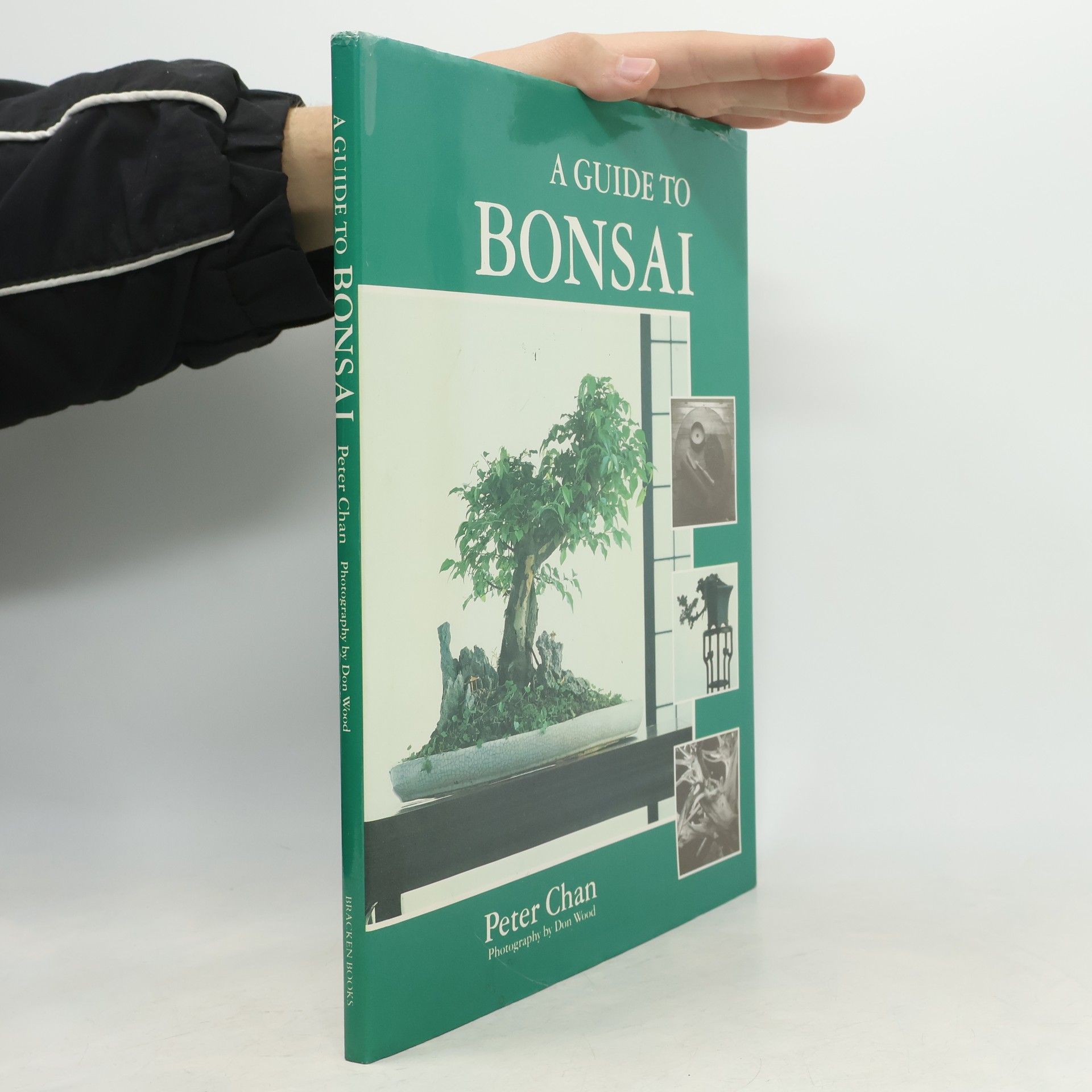 Petar Chan A Guide to Bonsai