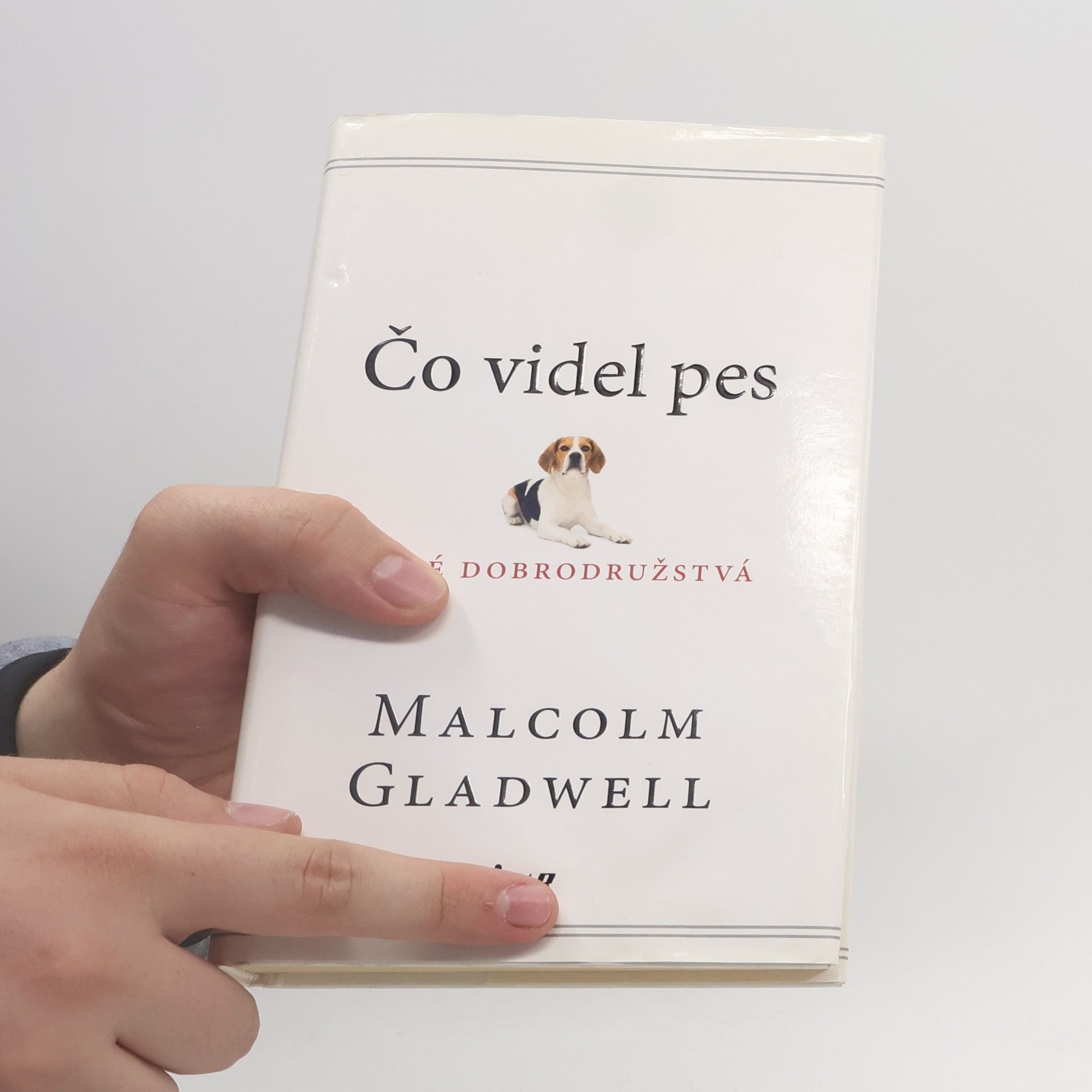 Malcolm Gladwell Čo videl pes