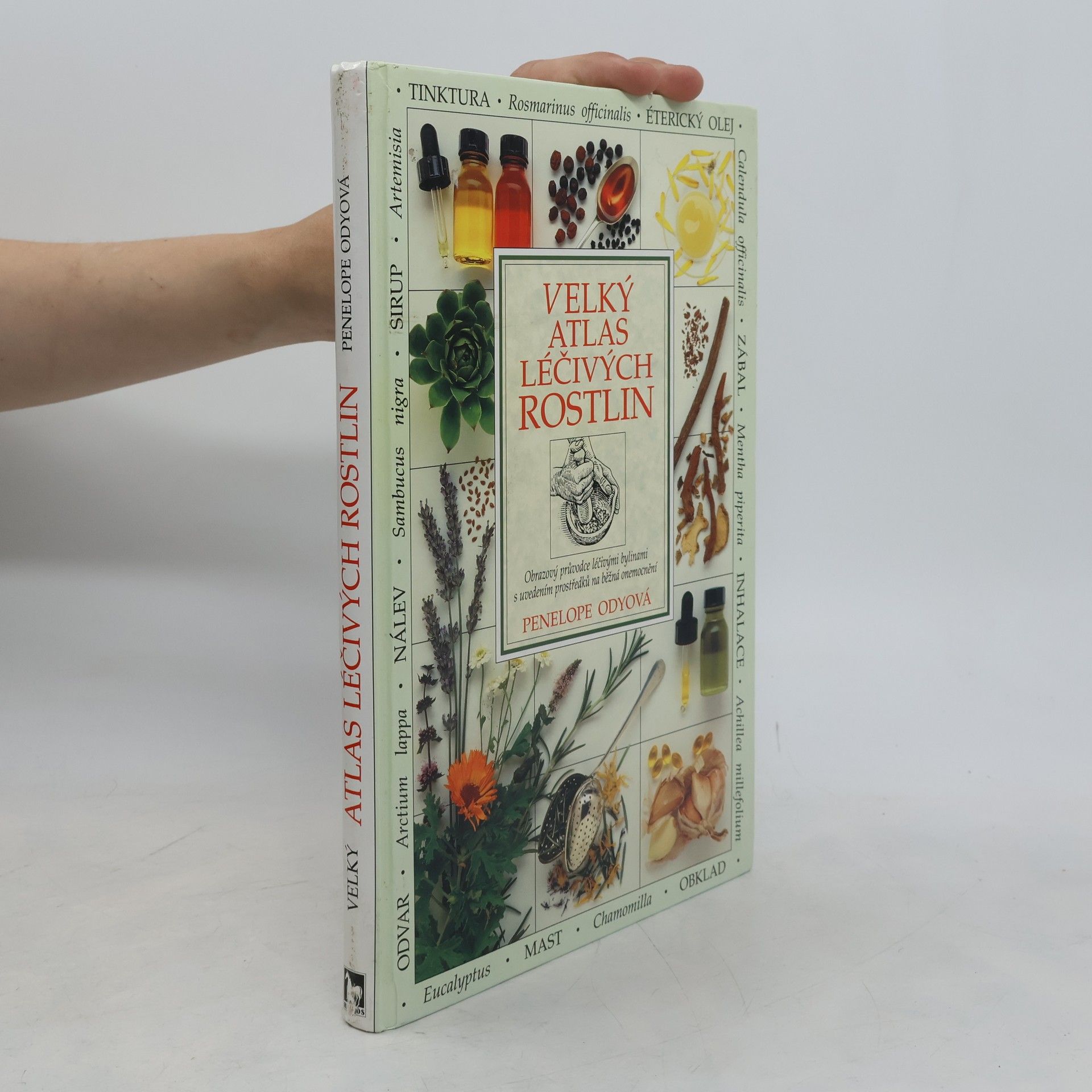 Penelope Ody Velký atlas léčivých rostlin