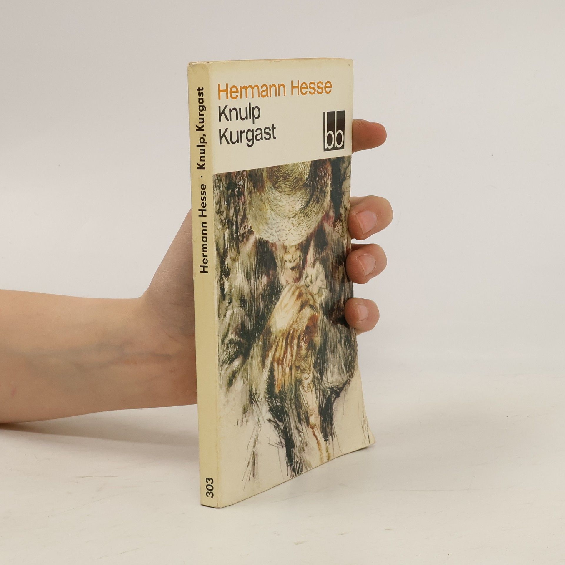 Hermann Hesse Knulp, Kurgast