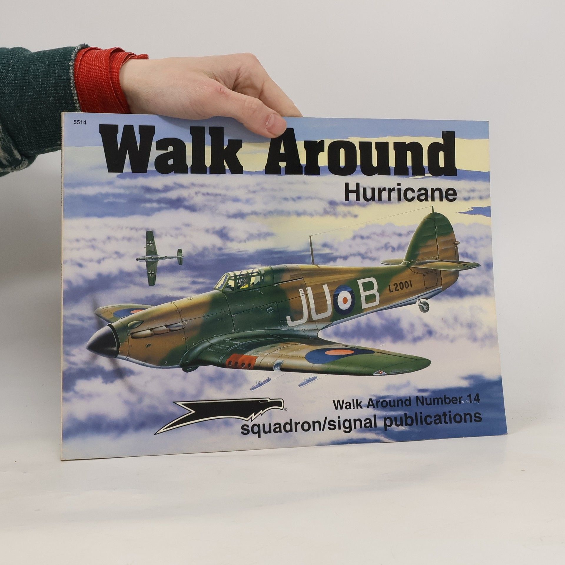 Ron Mackay Hurricane Walk Around