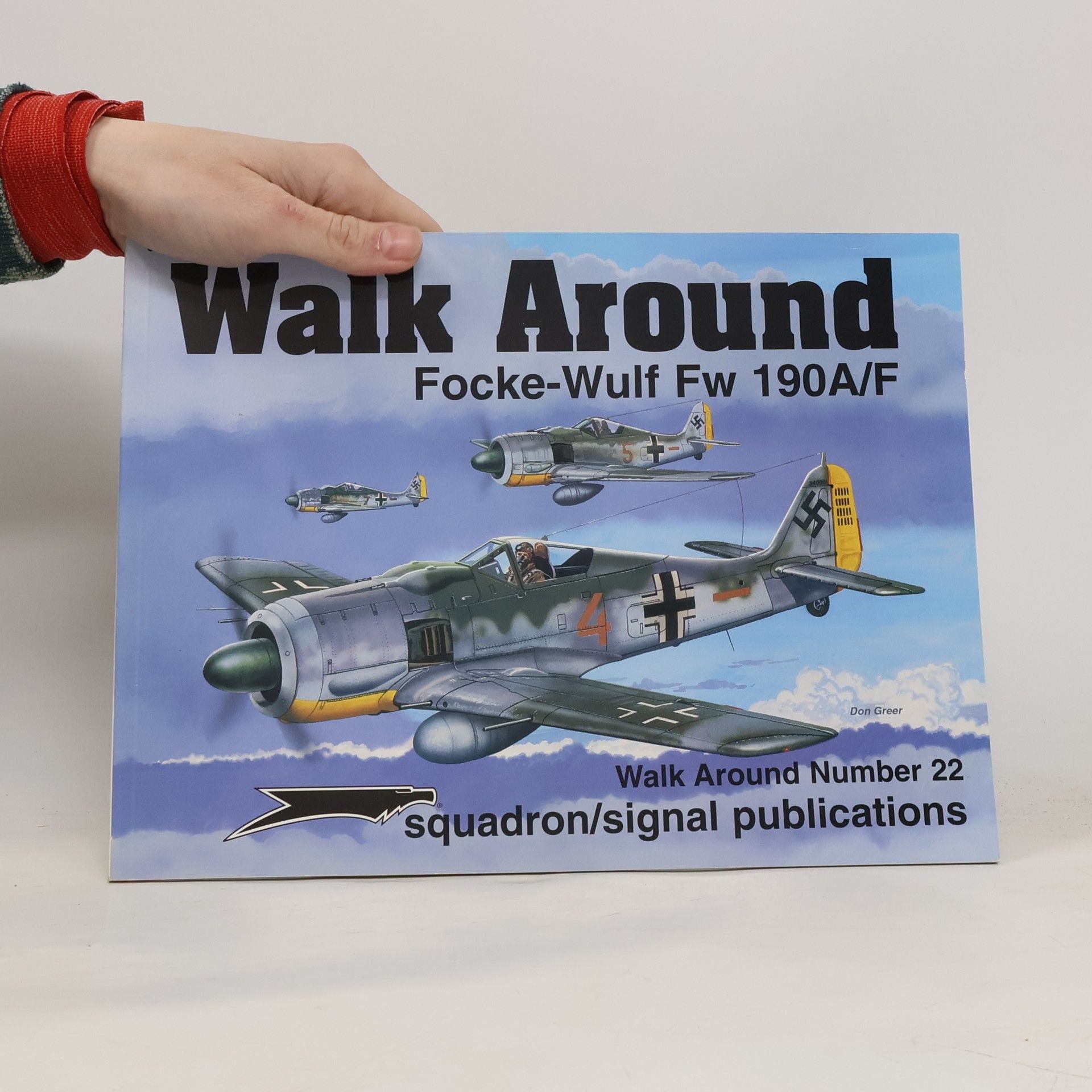 E. Brown Ryle Walk Around - 22: Focke-Wulf Fw 190A/F