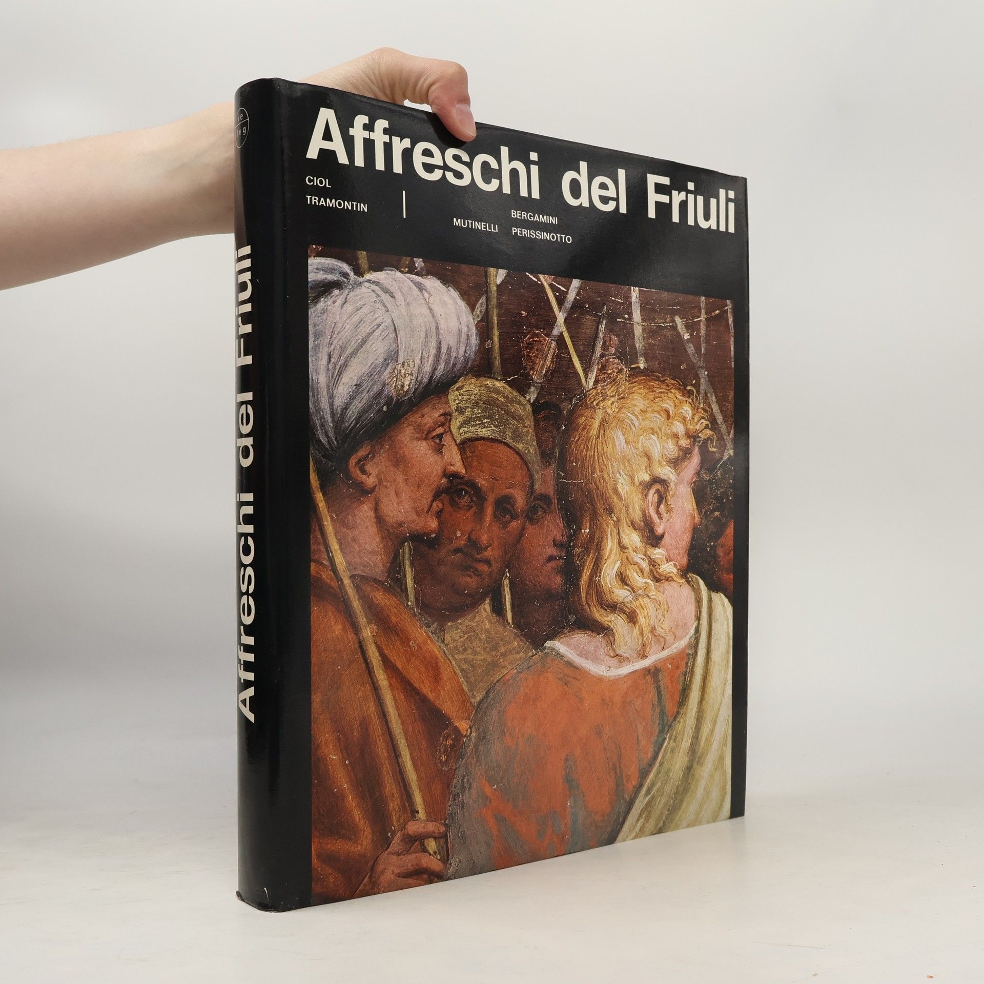 Autorenkollektiv Affreschi del Friuli