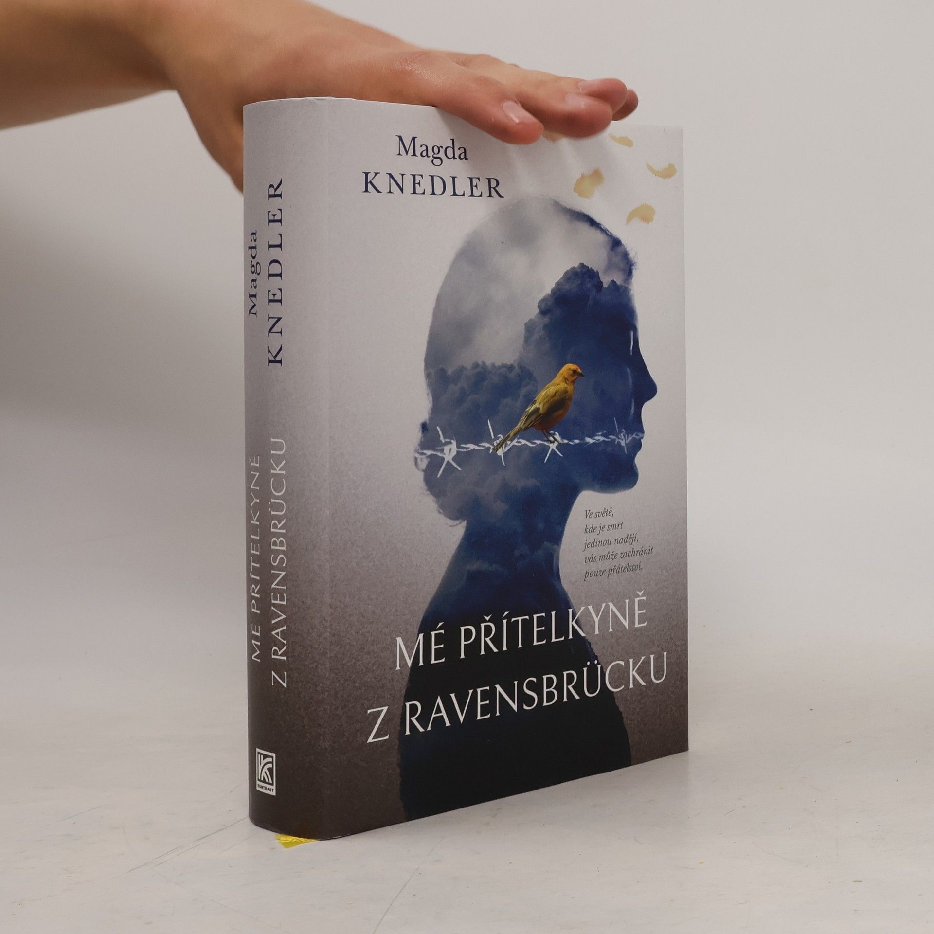 Magdalena Knedler Mé přítelkyně z Ravensbrücku