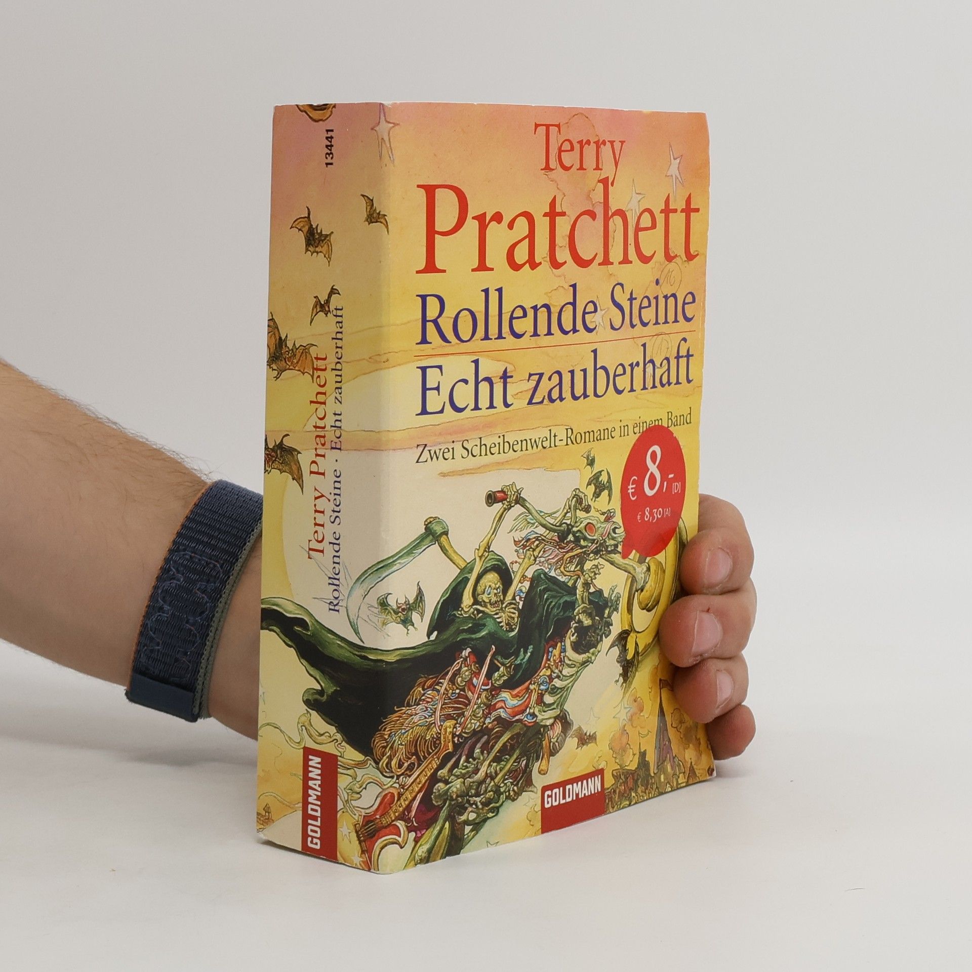 Terry Pratchett Rollende Steine