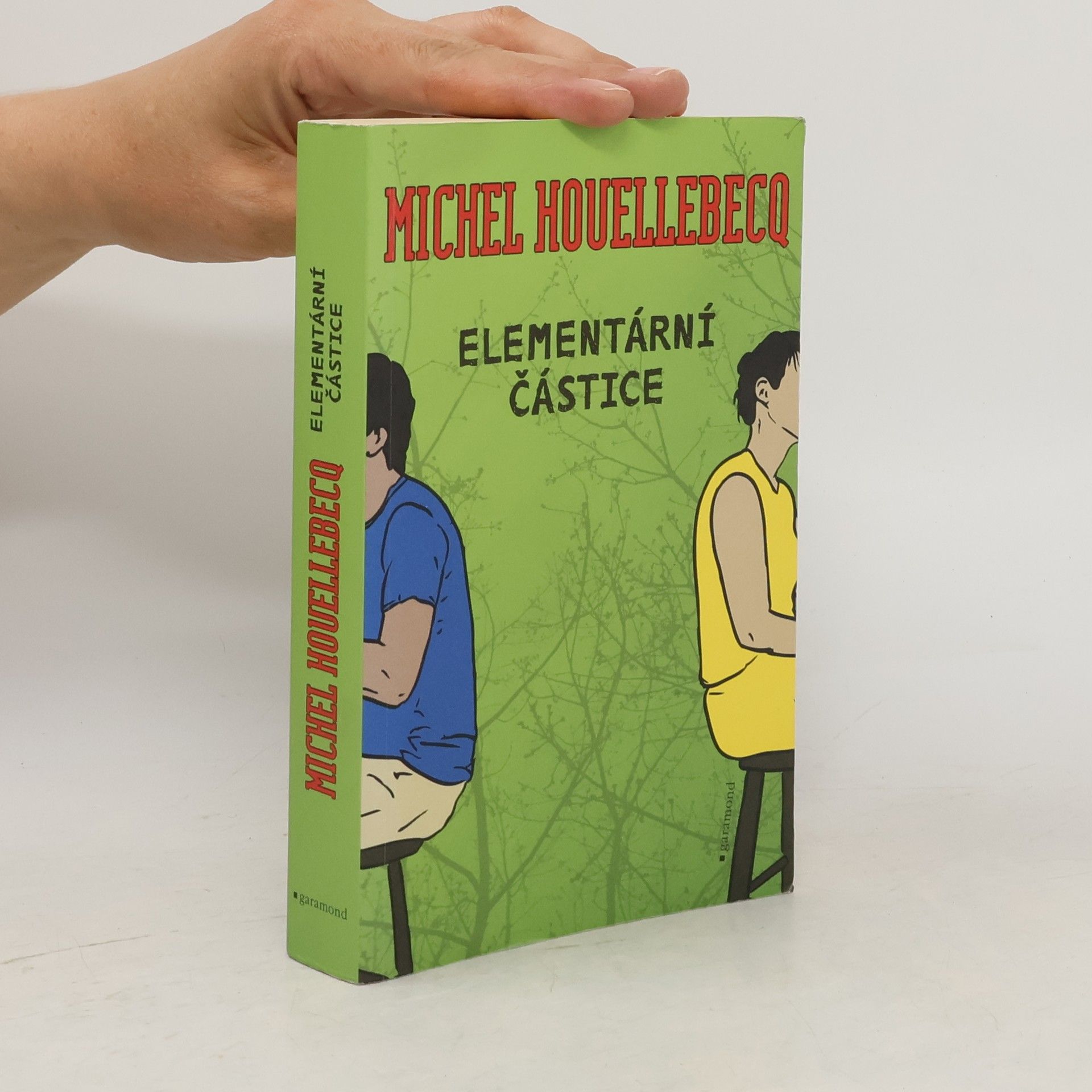Michel Houellebecq Elementární částice