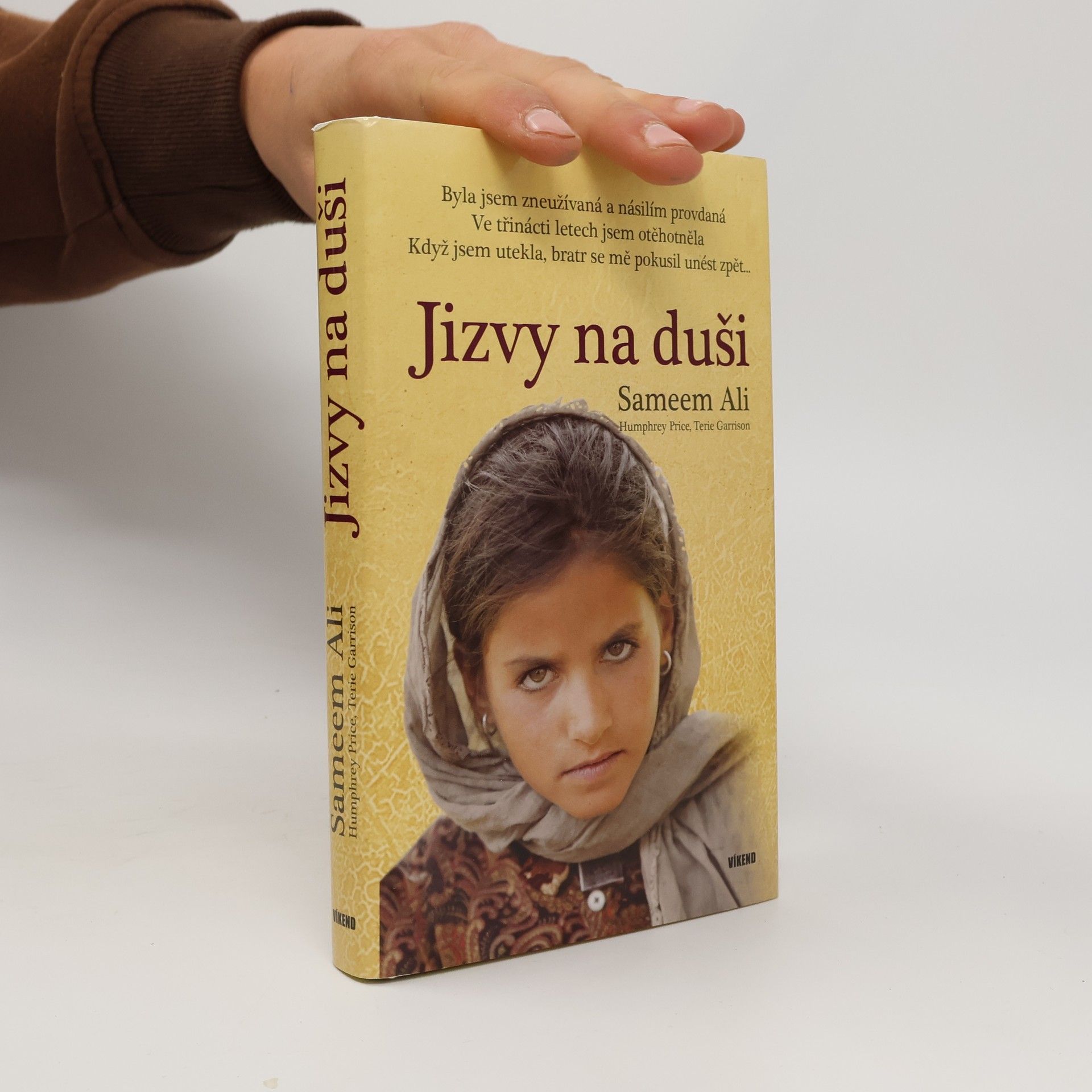Terie Garrison Jizvy na duši