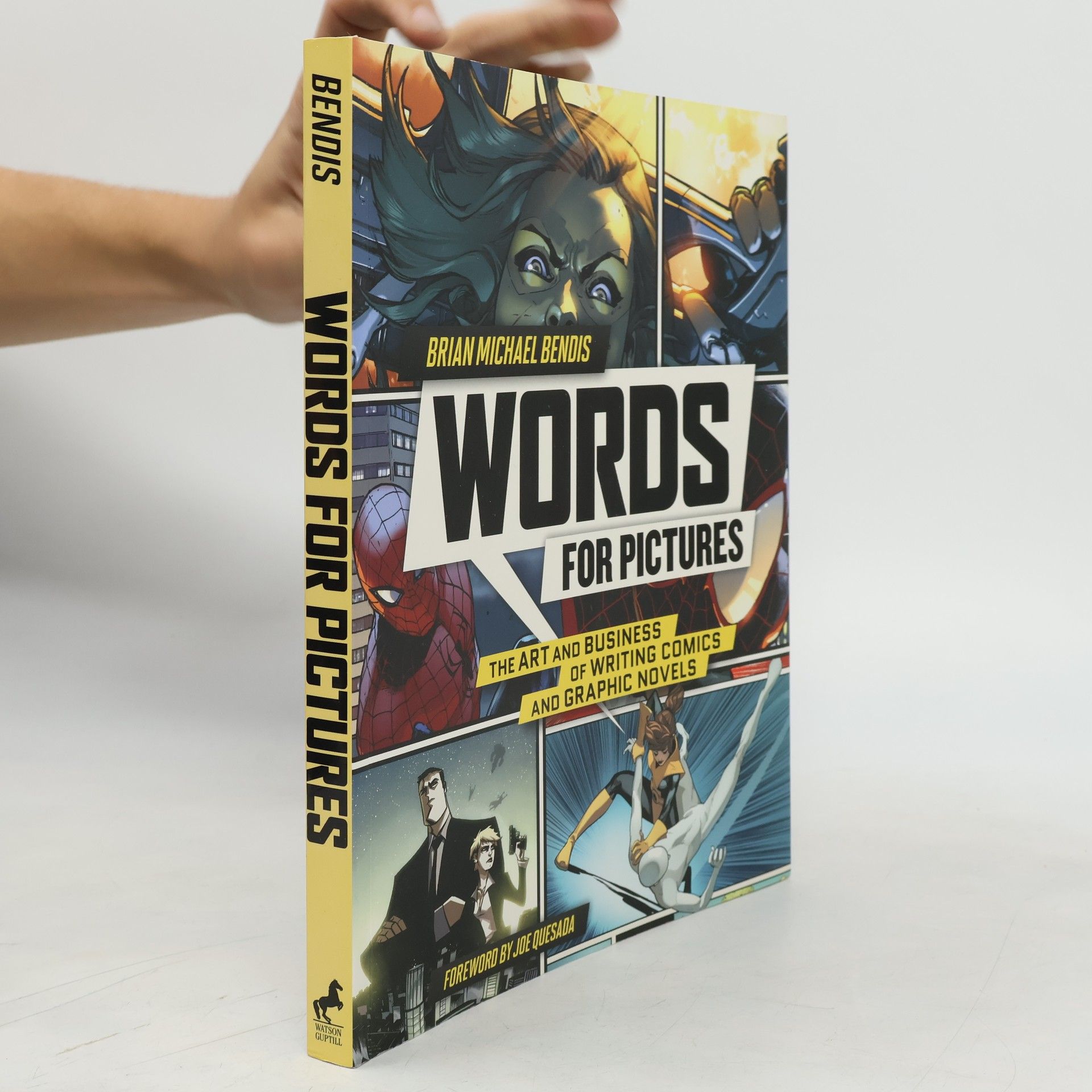 Joe Quesada Words For Pictures