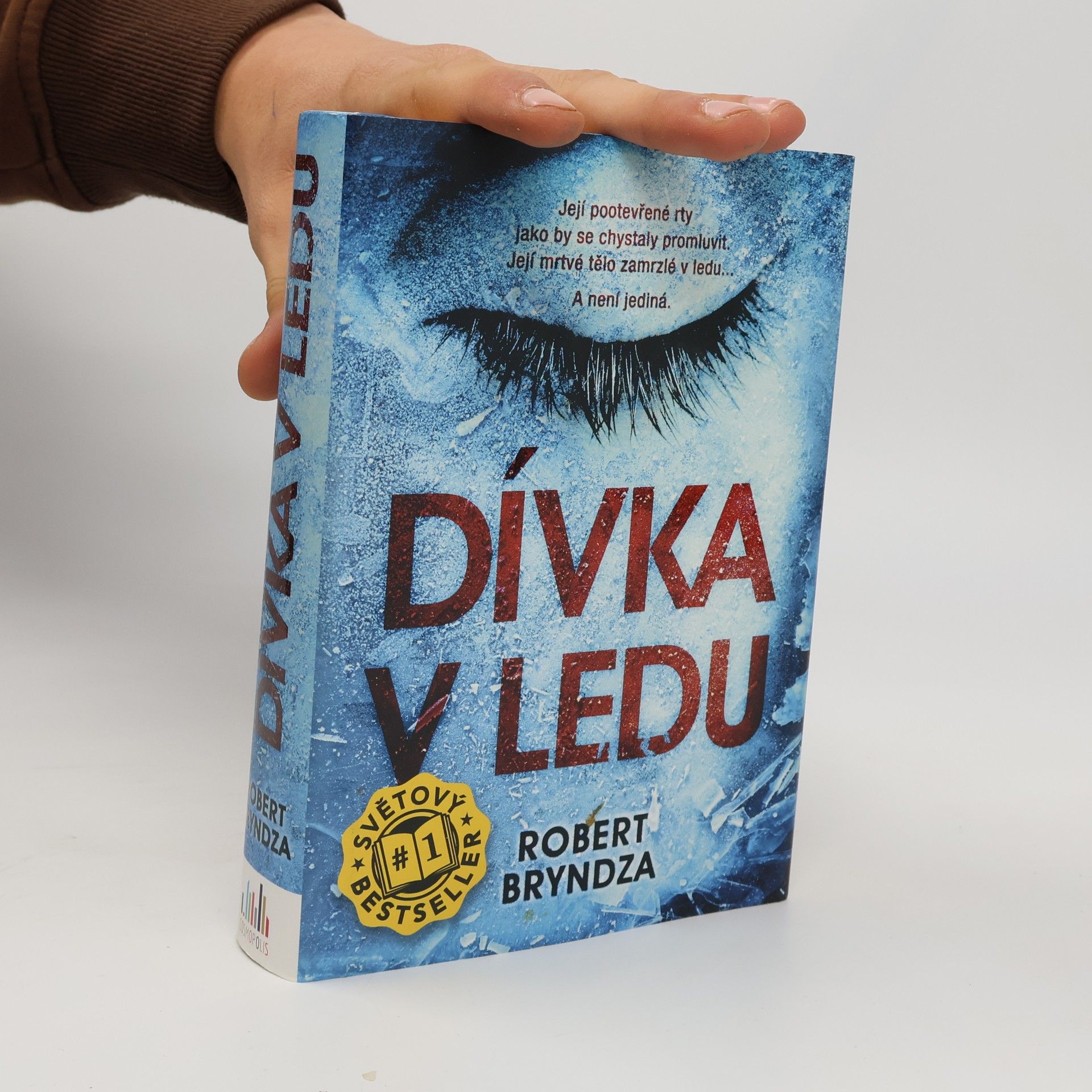 Robert Bryndza Dívka v ledu