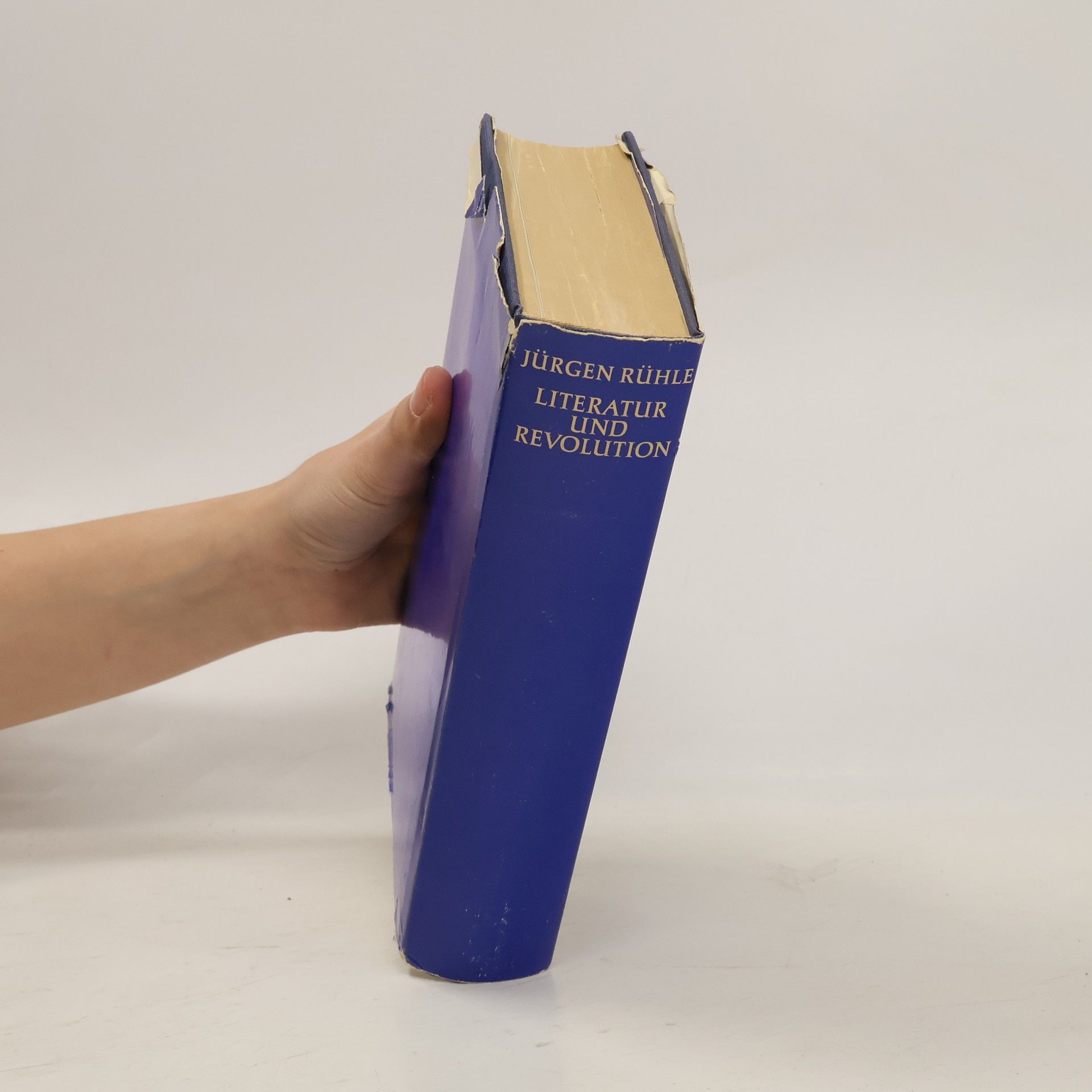 Jürgen Rühle Literatur und Revolution