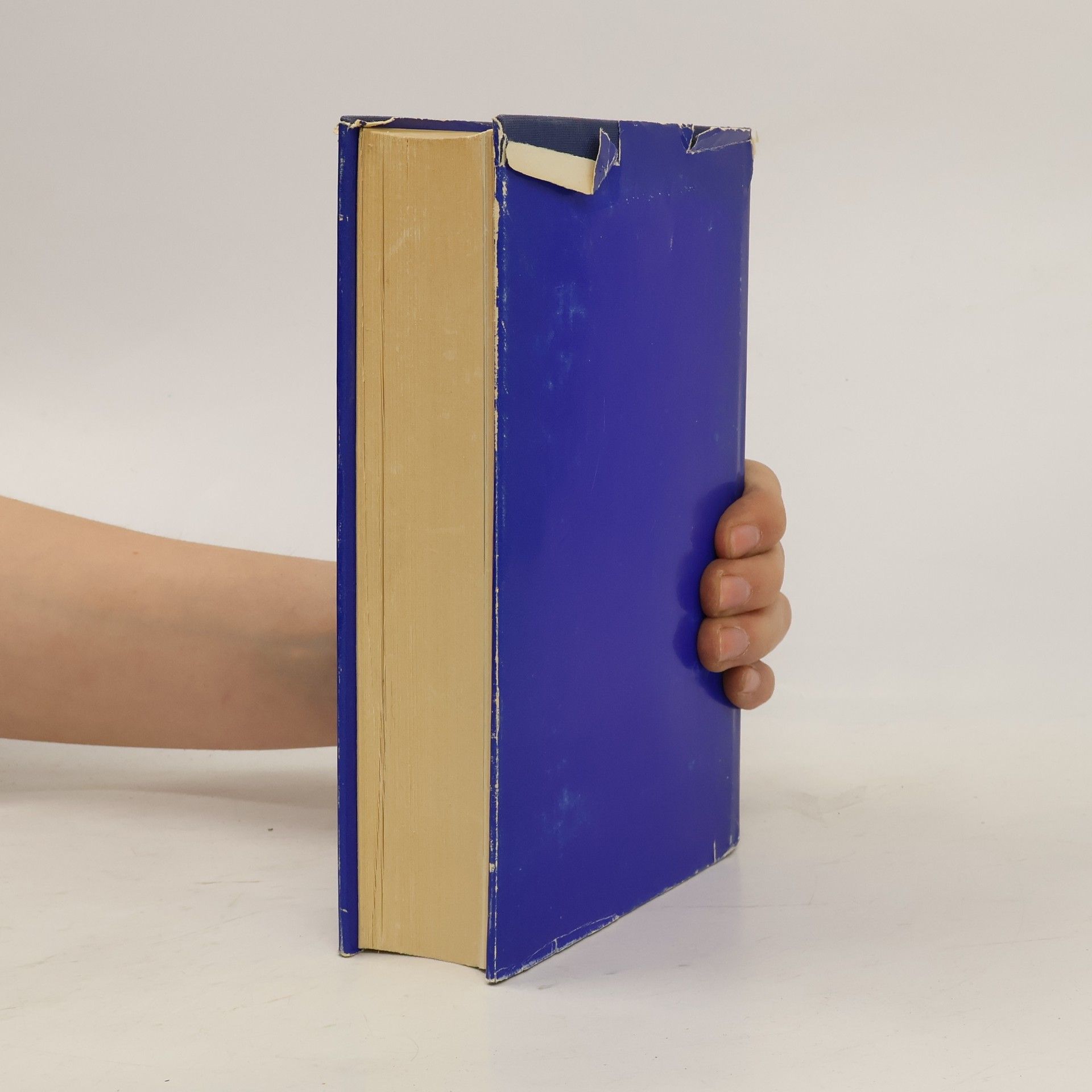 Jürgen Rühle Literatur und Revolution