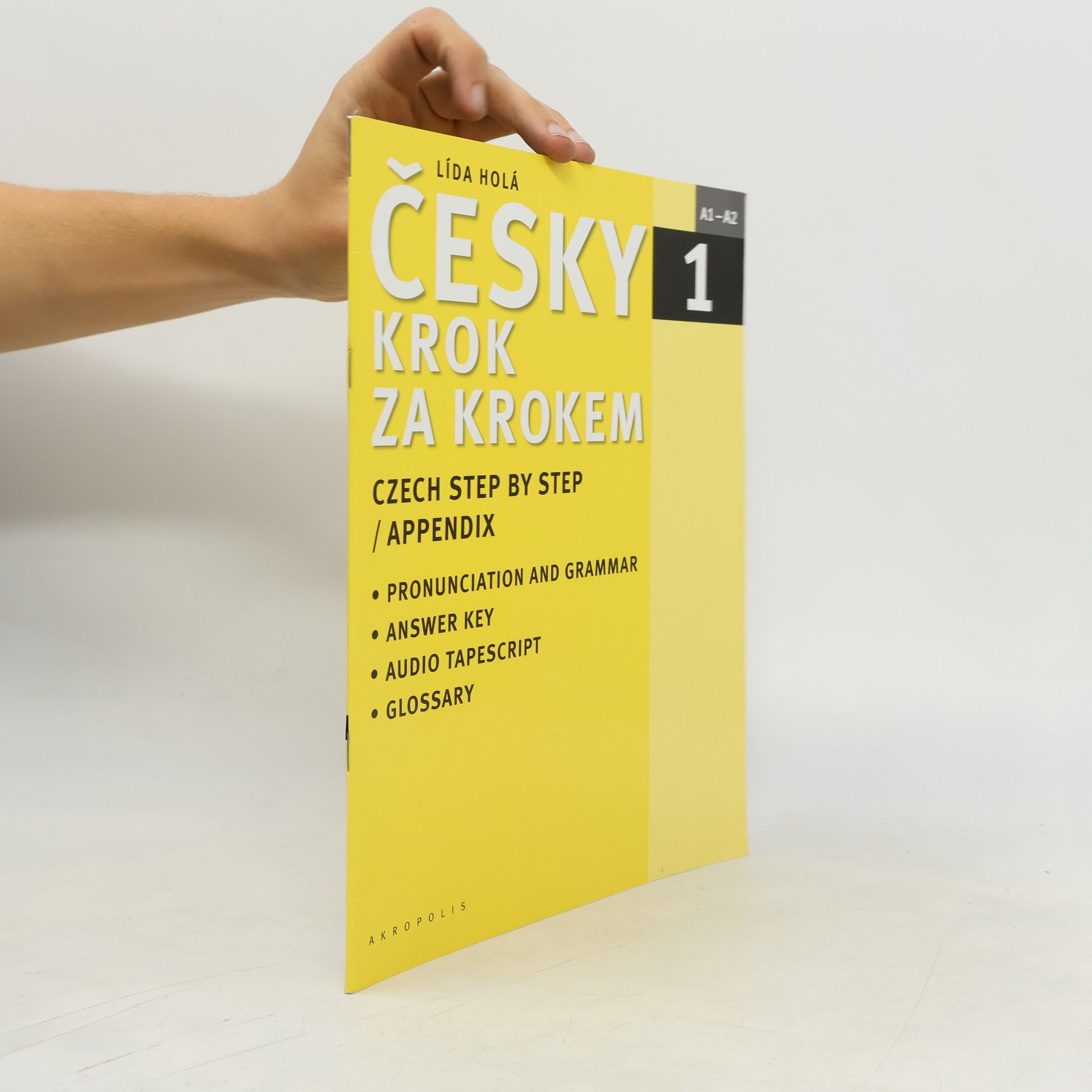 Lída Holá Česky krok za krokem 1. A1-A2 příloha