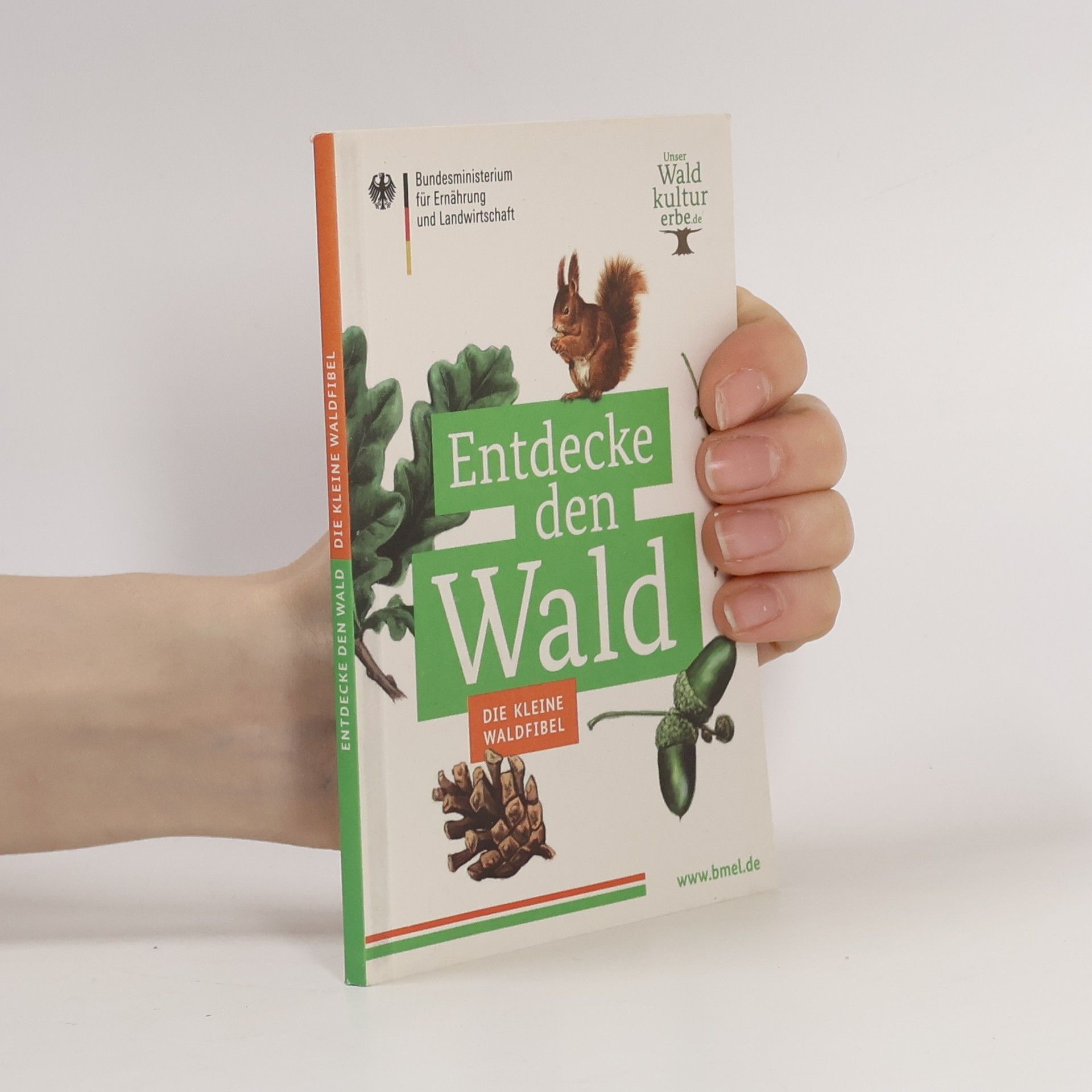 Auteurscollectief Entdecke den Wald