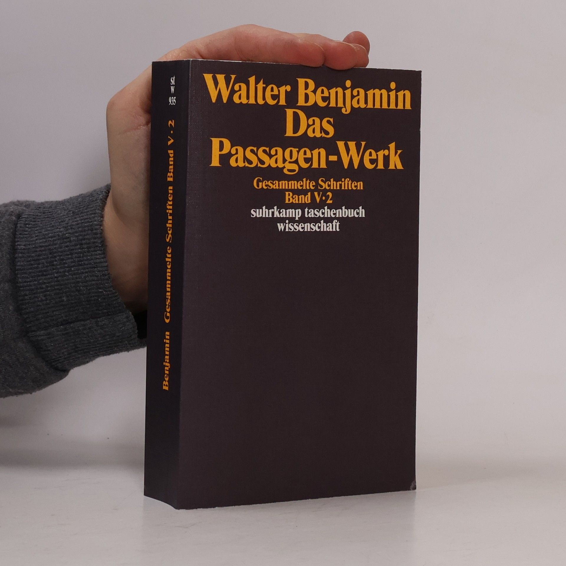 Das Passagenwerk. Gesammelte Schriften V/2