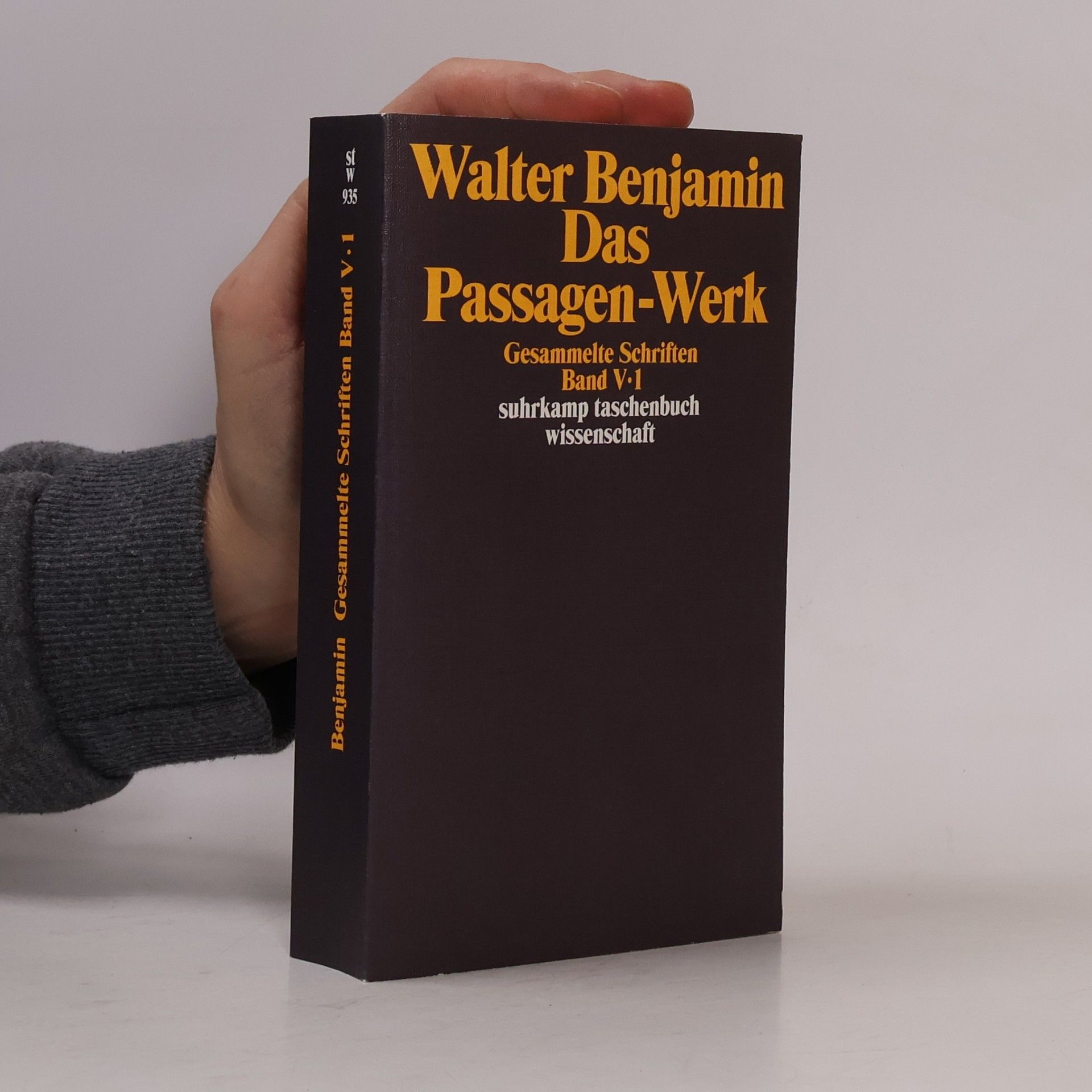 Walter Benjamin Das Passagenwerk. Gesammelte Schriften V/1