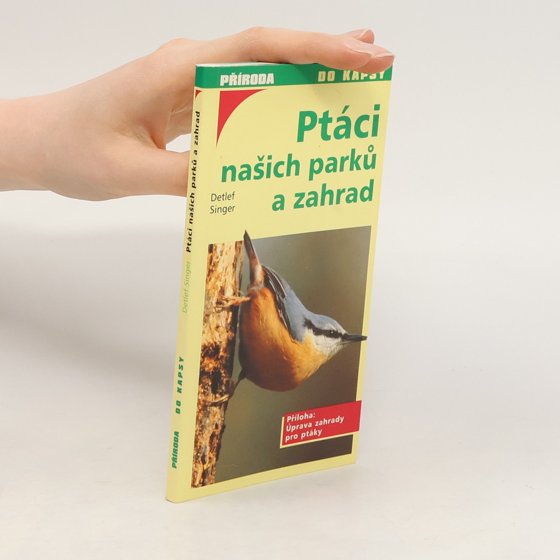 Detlef Singer Ptáci našich parků a zahrad