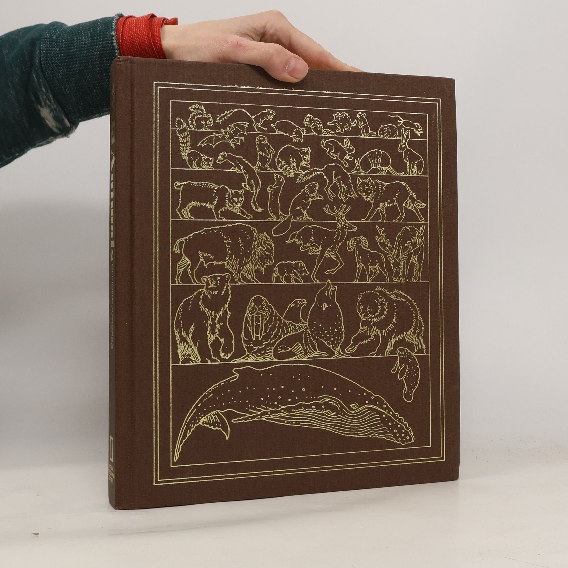 Melville Bell Grosvenor Wild animals of North America