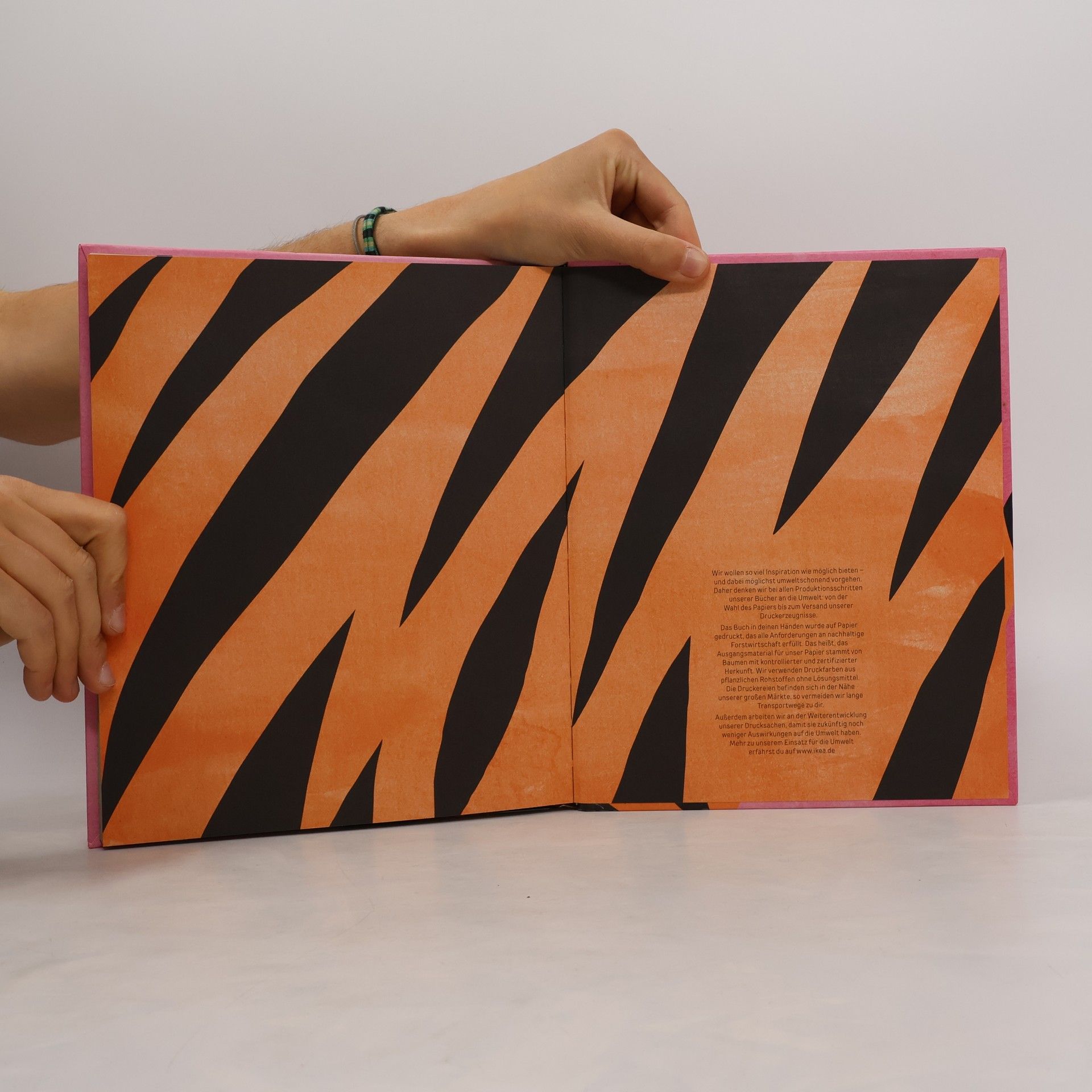 Stefan Casta Dem Tiger auf der Spur