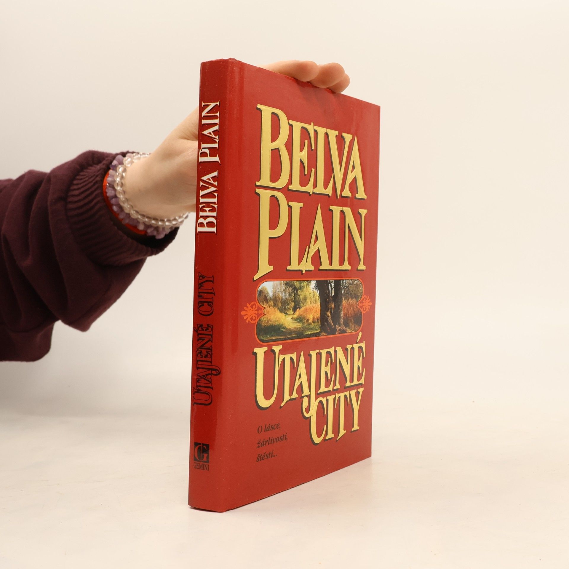 Belva Plain Utajené city