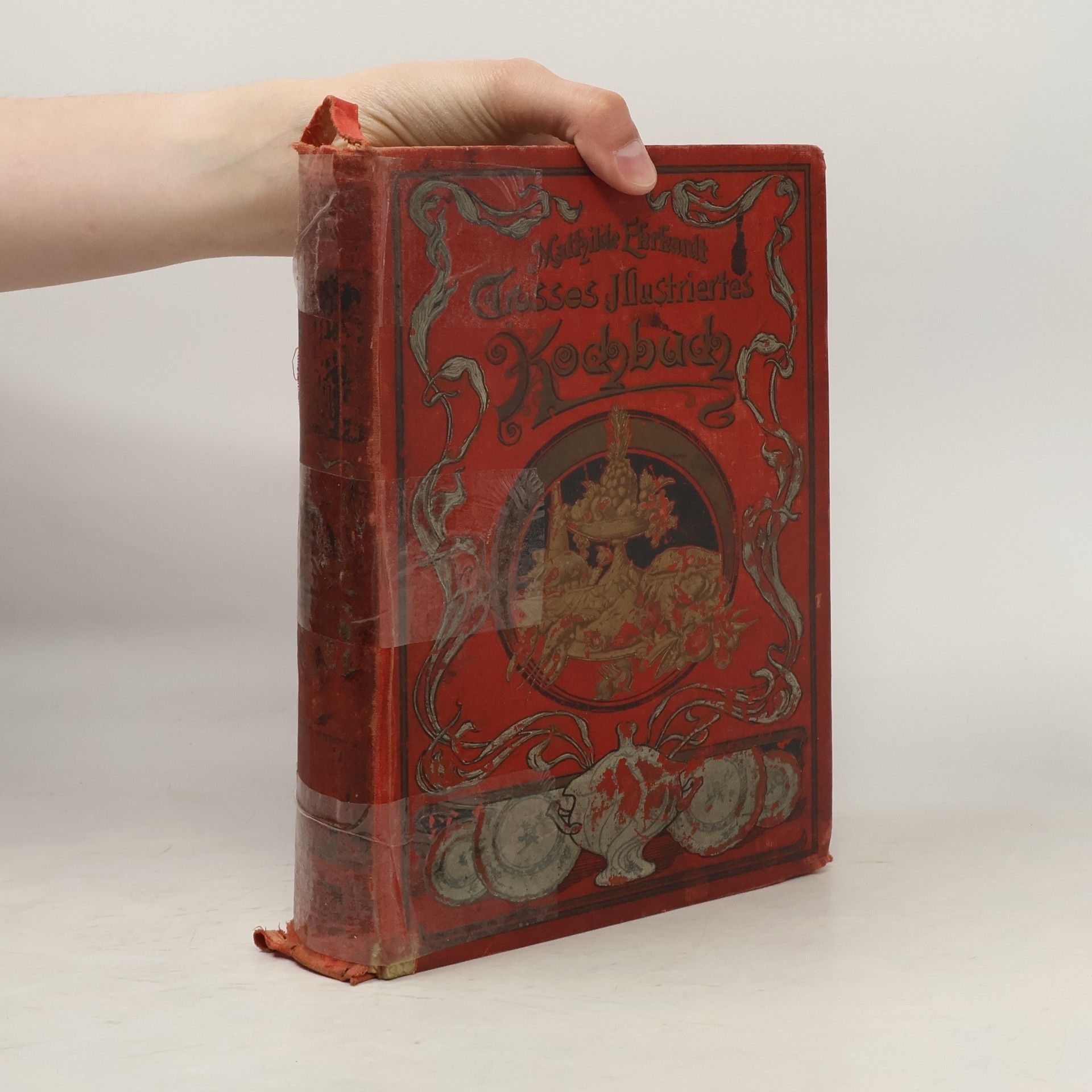 Mathilde Ehrhardt Grosses illustiertes Kochbuch