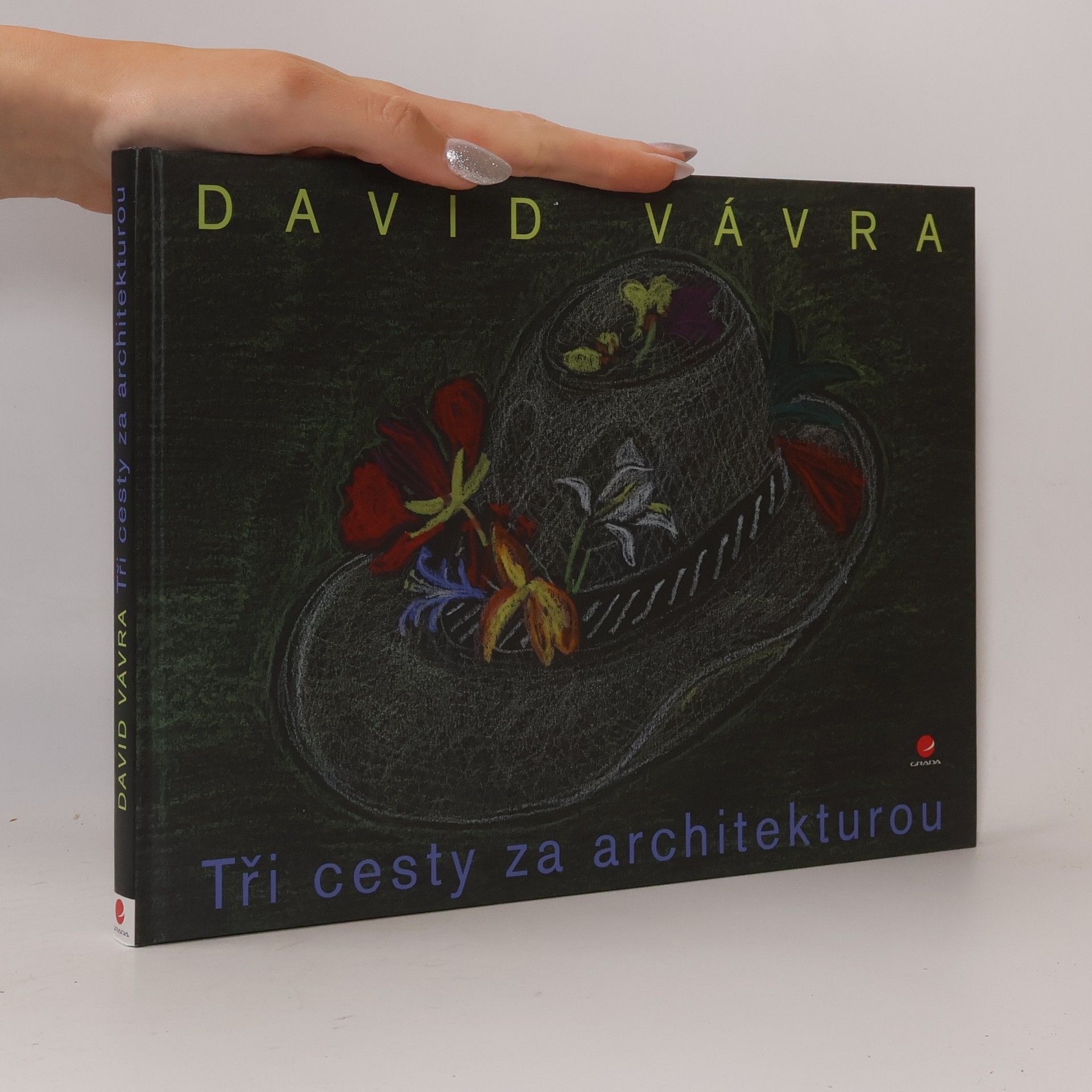 David Vávra Tři cesty za architekturou