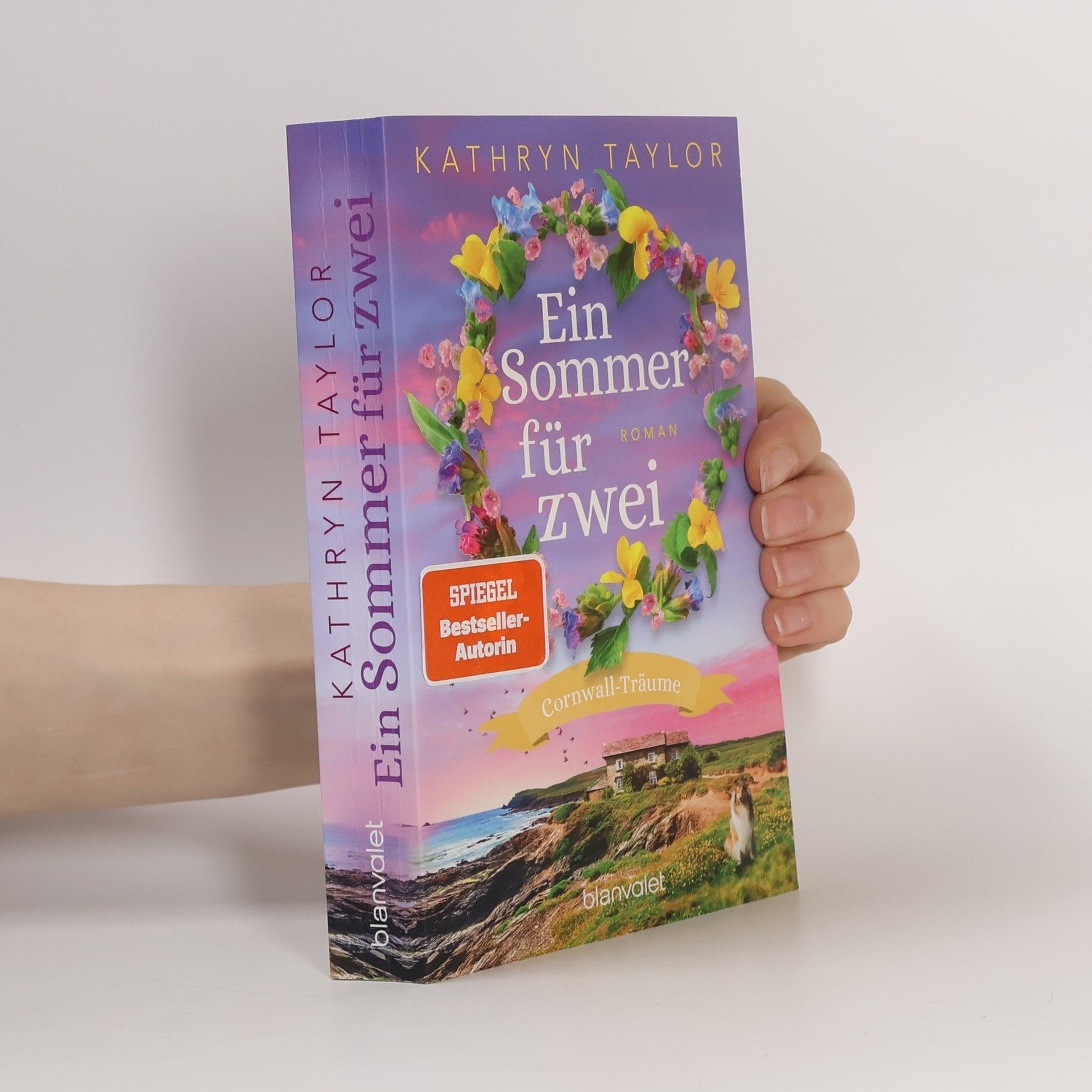 Kathryn Taylor Ein Sommer für zwei