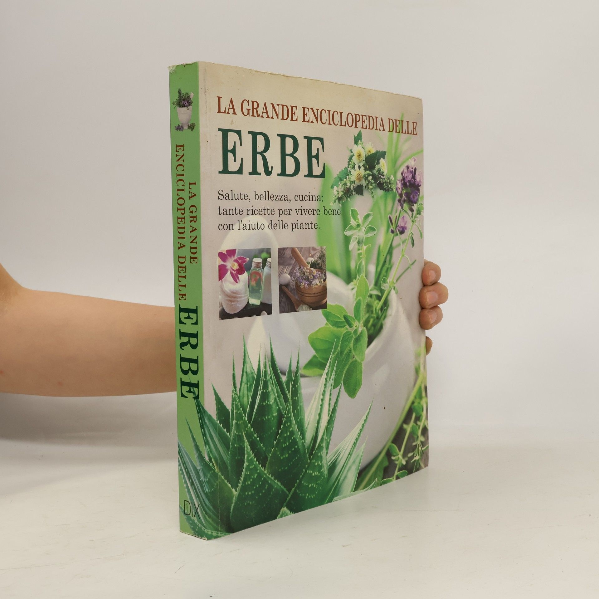 Autorenkollektiv La grande enciclopedia delle erbe