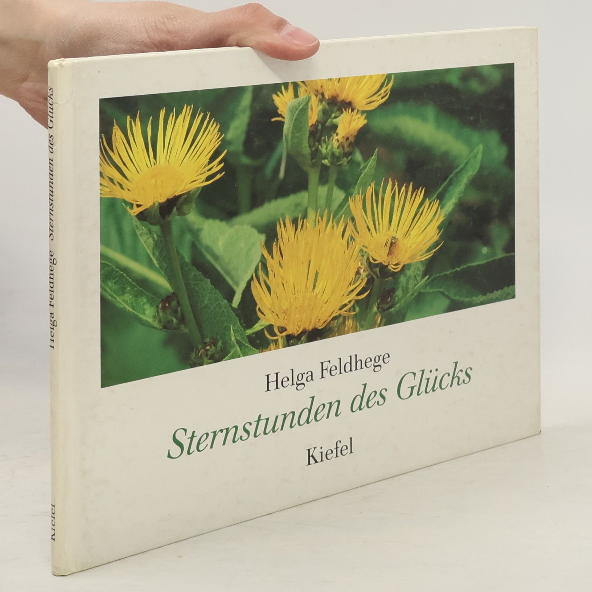 Helga Feldhege Sternstunden des Glücks
