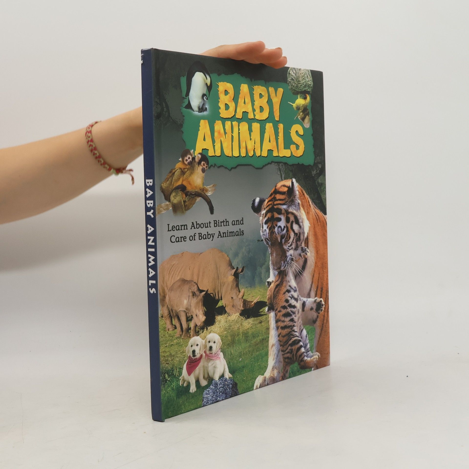 Kolektiv autorů Baby Animals