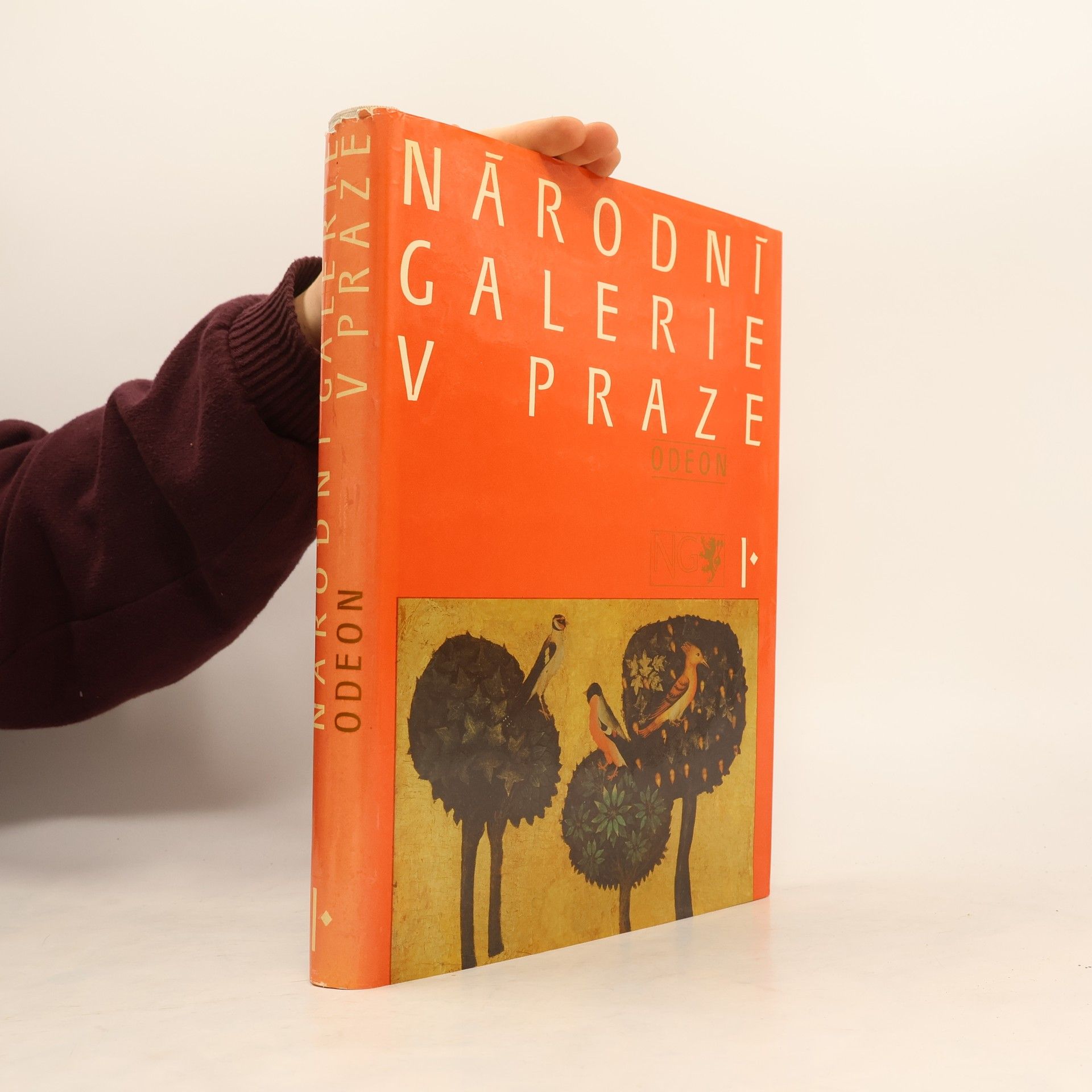 Kolektiv autorů Národní galerie v Praze