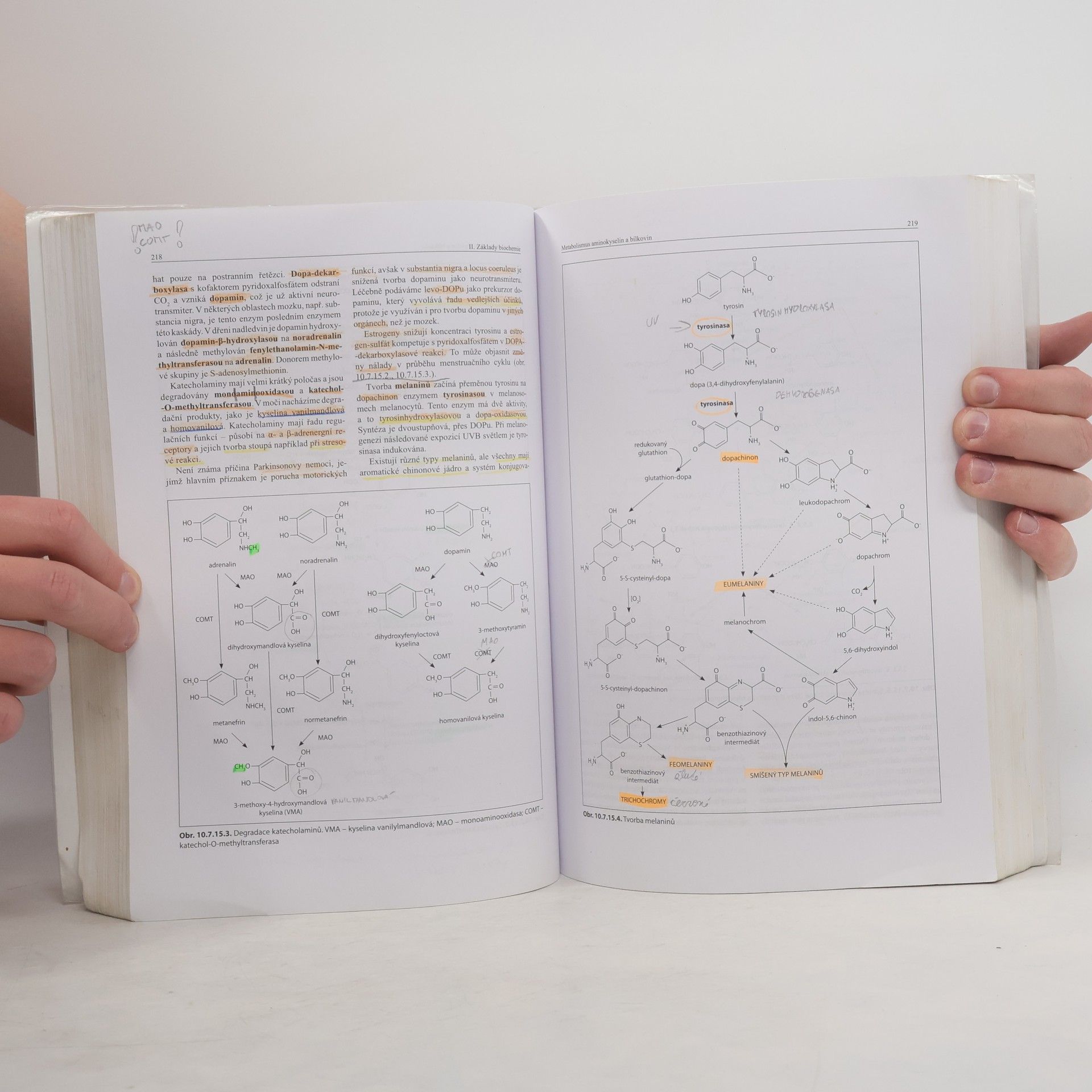Bohuslav Matouš Základy lékařské chemie a biochemie