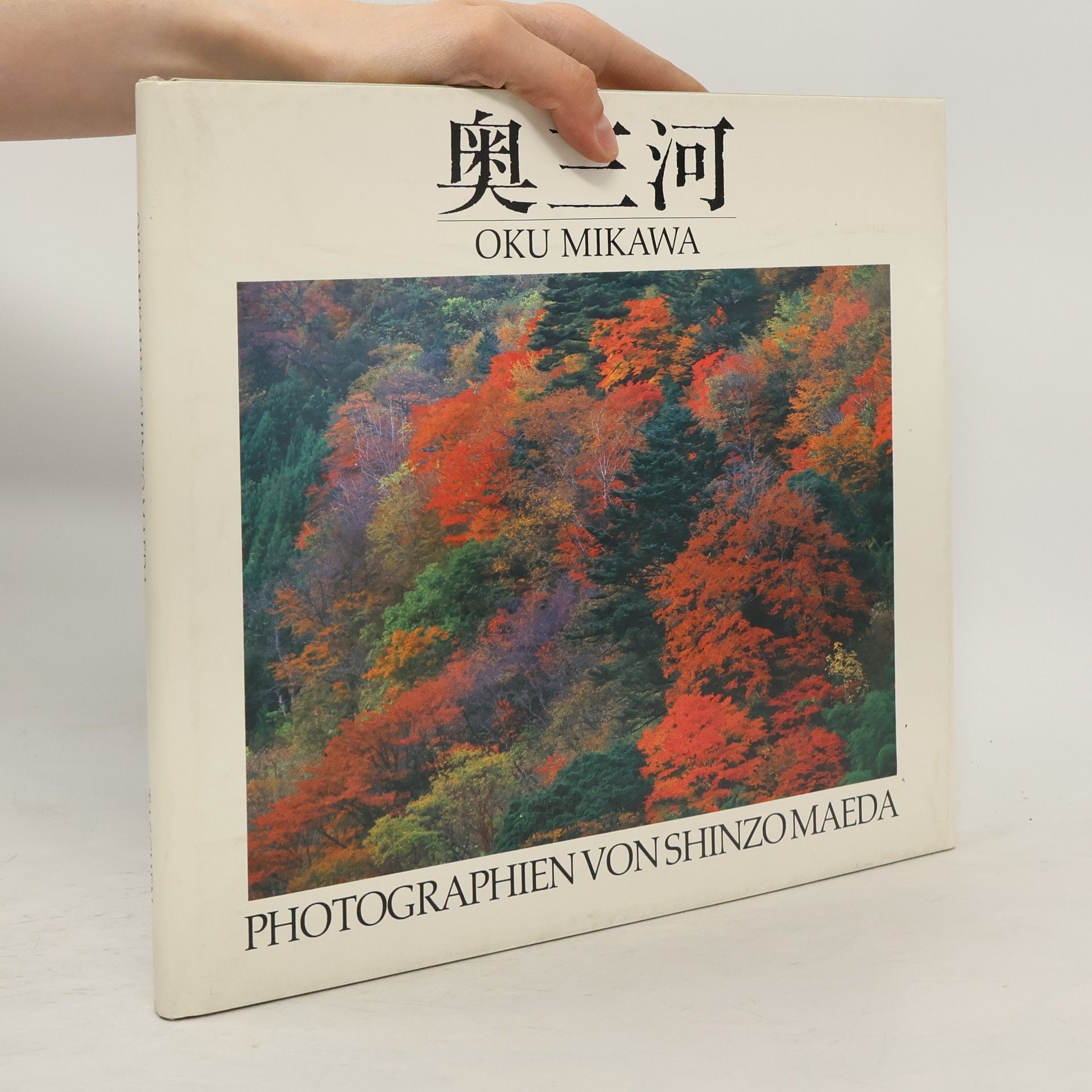 Oku-mikawa