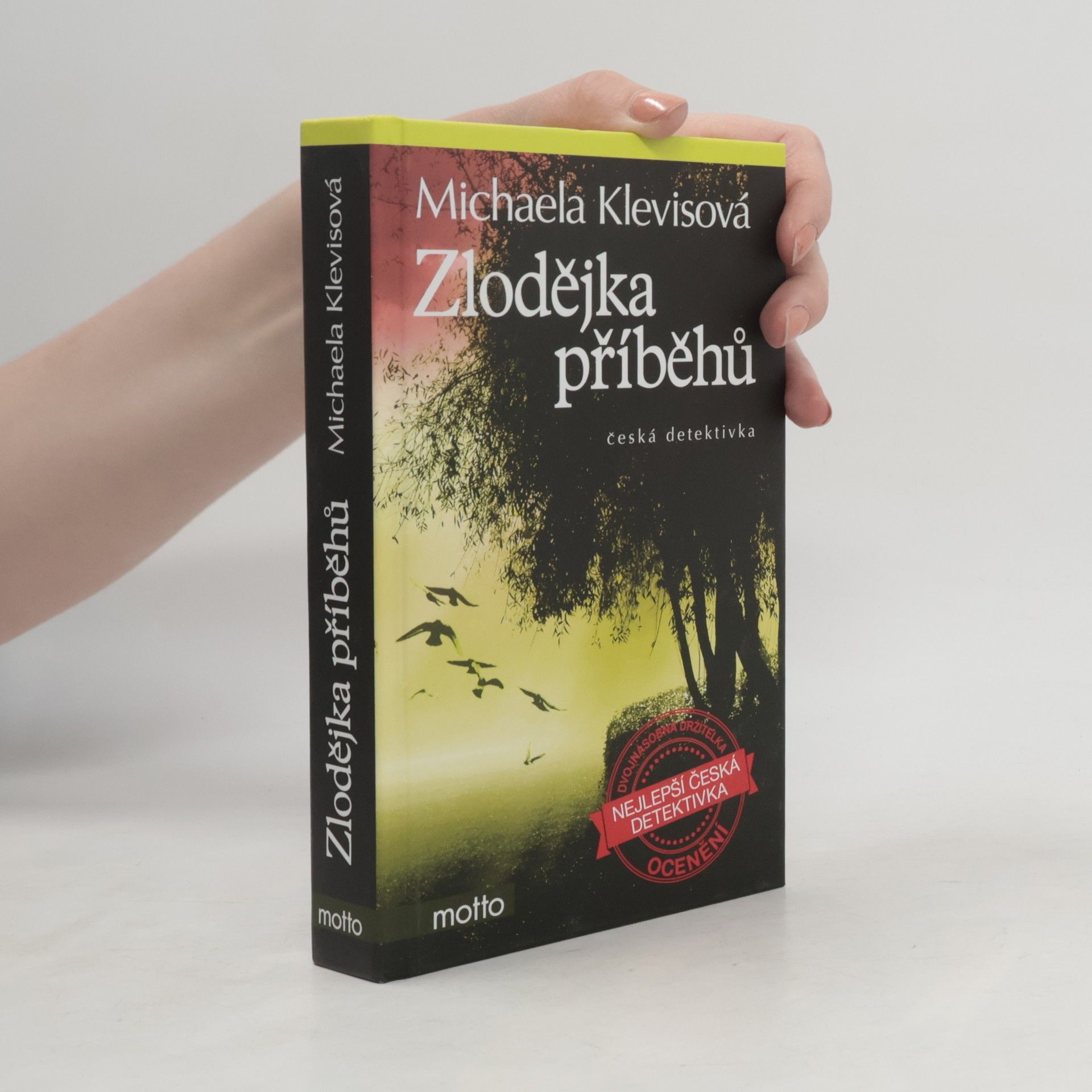 Michaela Klevisová Zlodějka příběhů